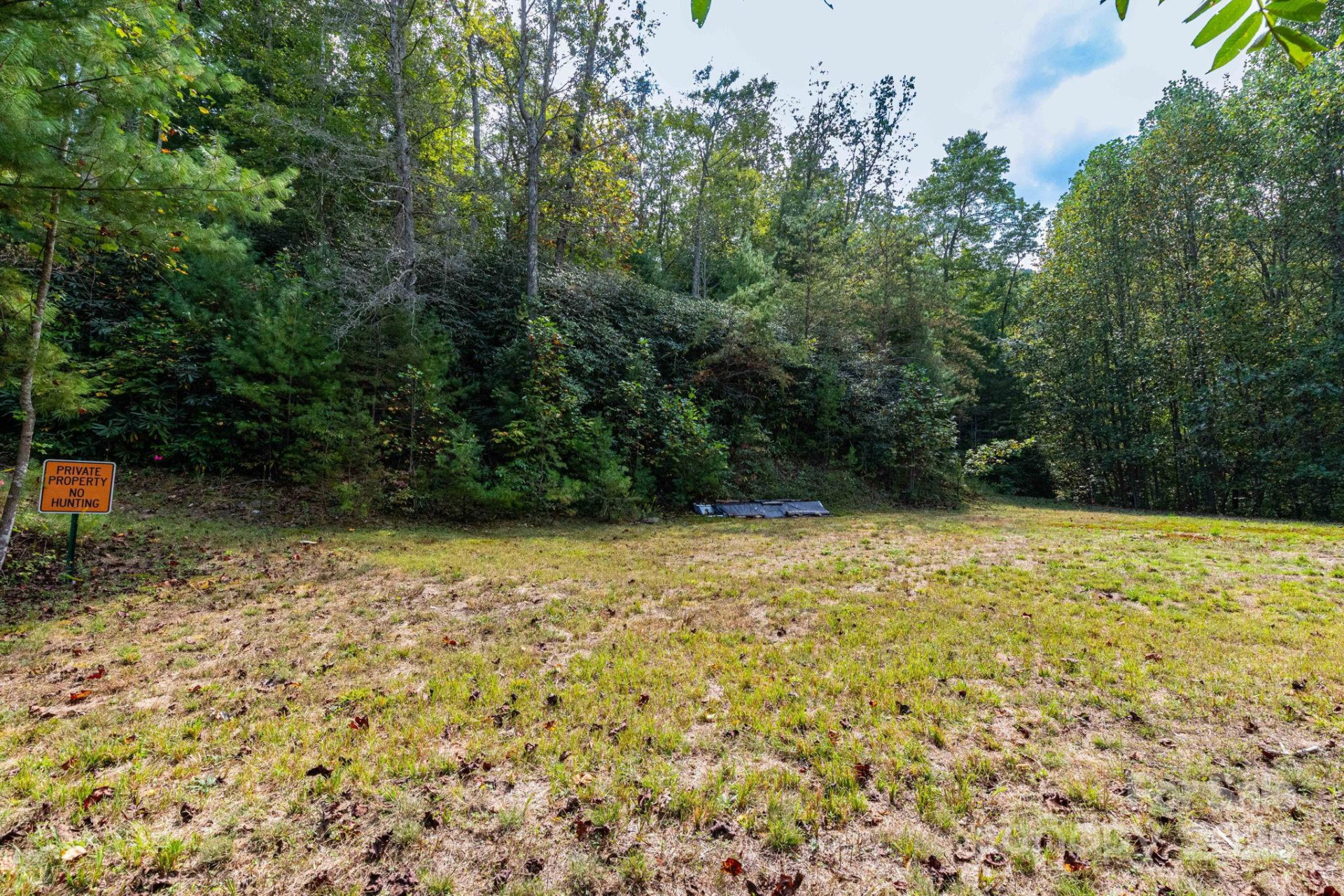 999 NC 209 Highway #9 - Photo 10