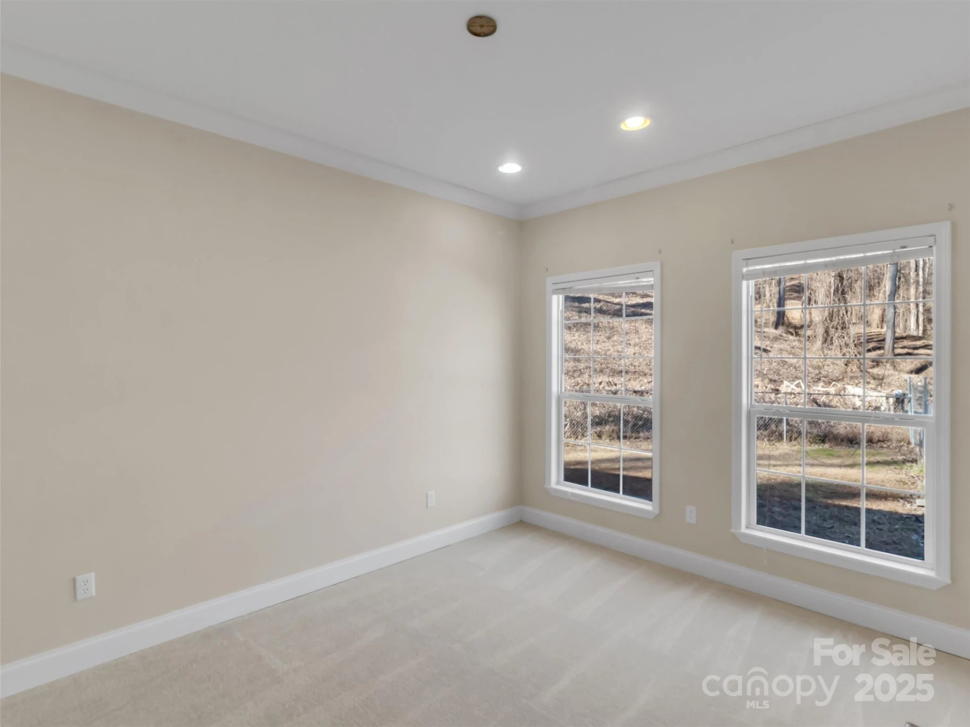 284 Cutting Edge Drive - Photo 23