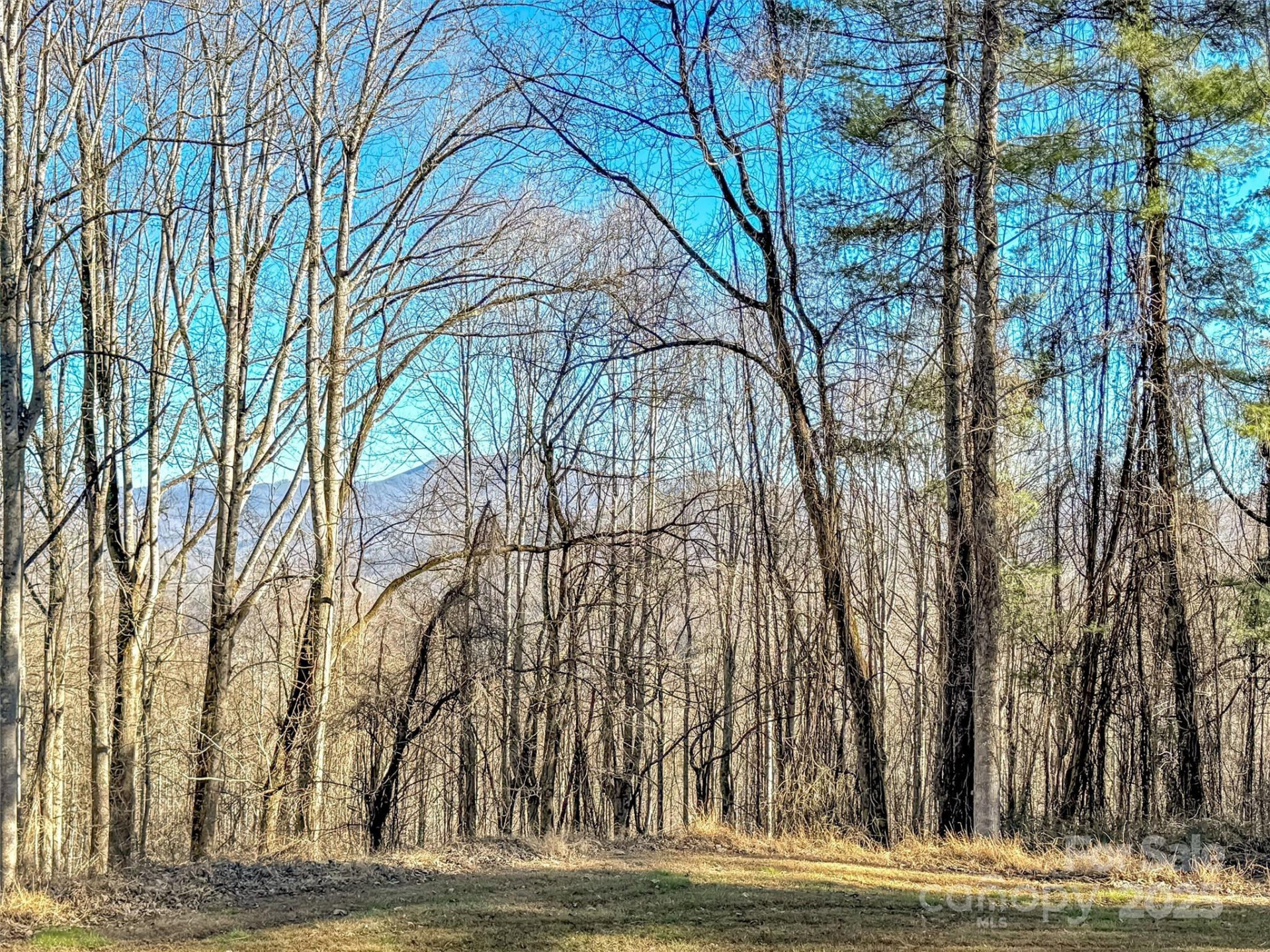 284 Cutting Edge Drive - Photo 30