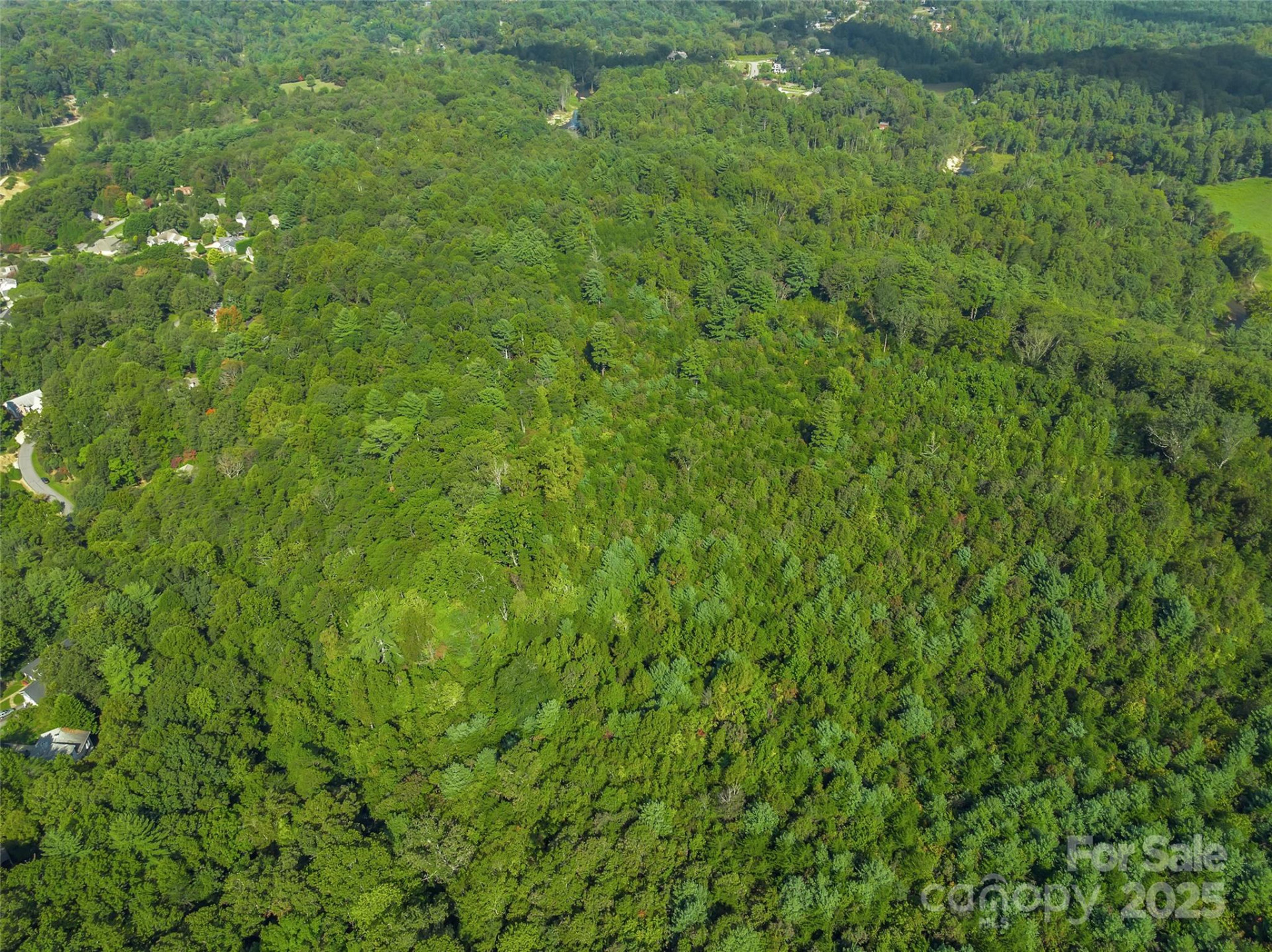 99999 Eastmoor Drive - Photo 11