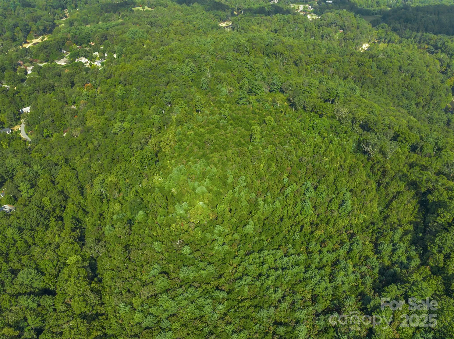 99999 Eastmoor Drive - Photo 12