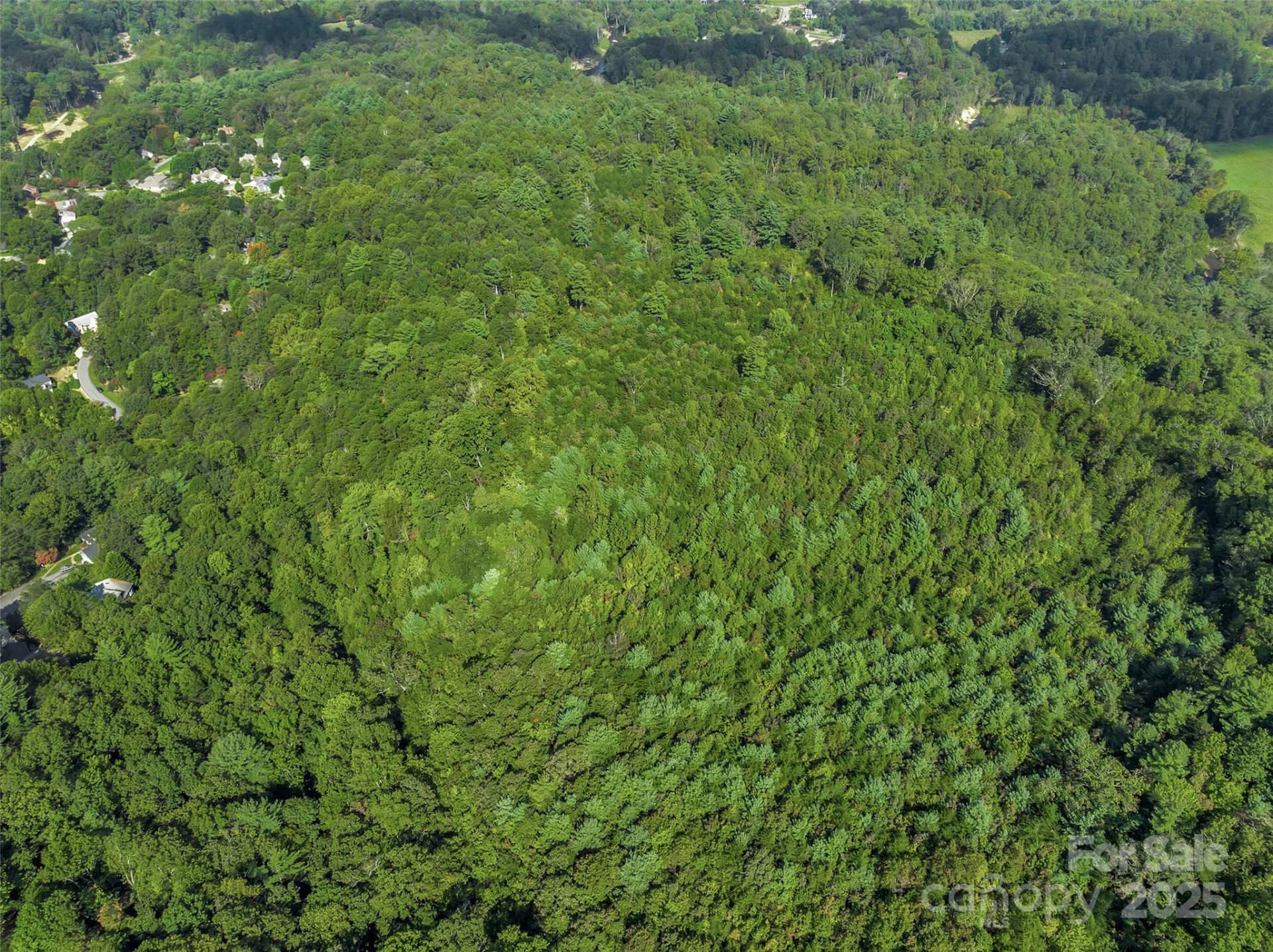 99999 Eastmoor Drive - Photo 14