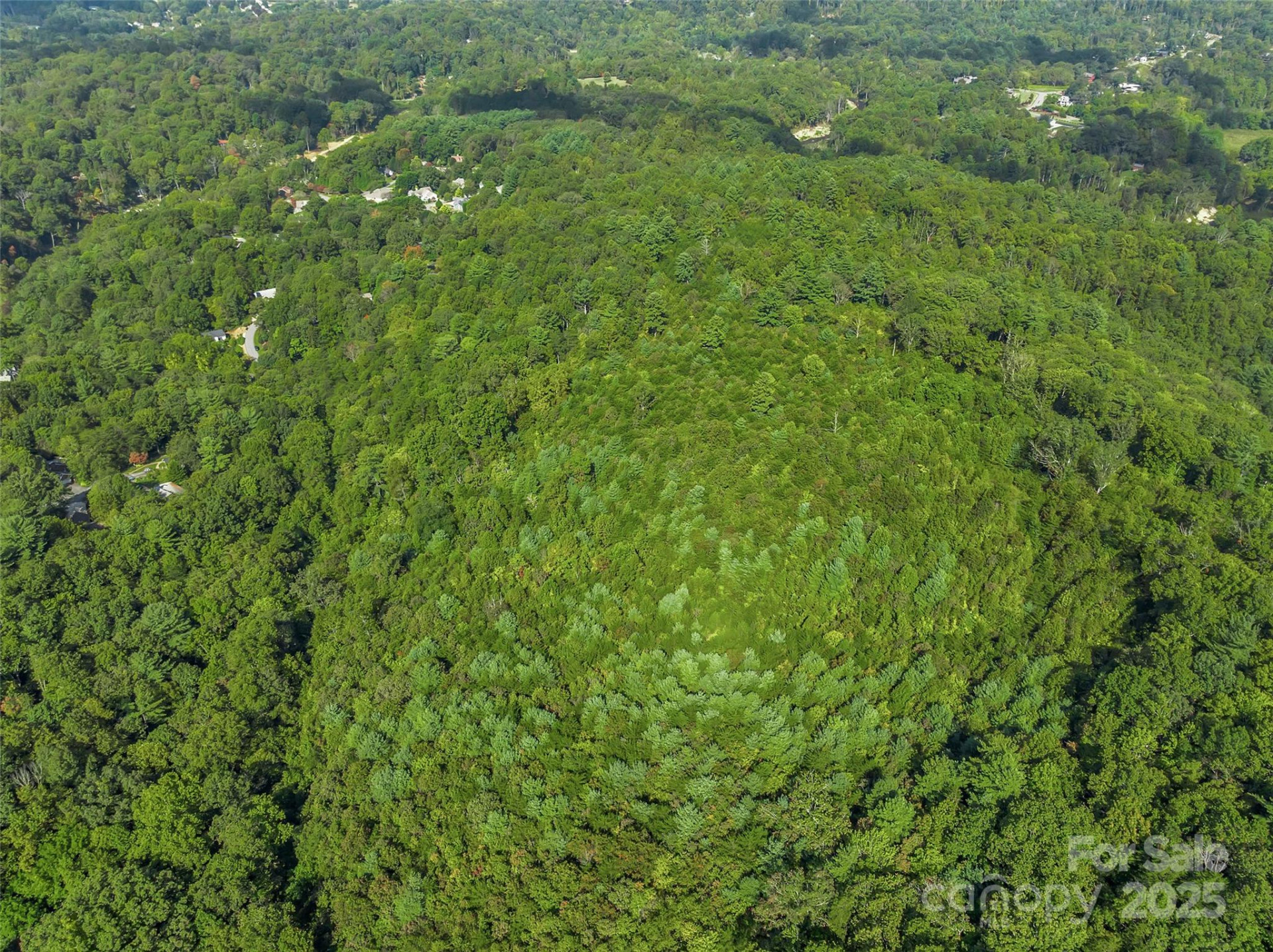 99999 Eastmoor Drive - Photo 15