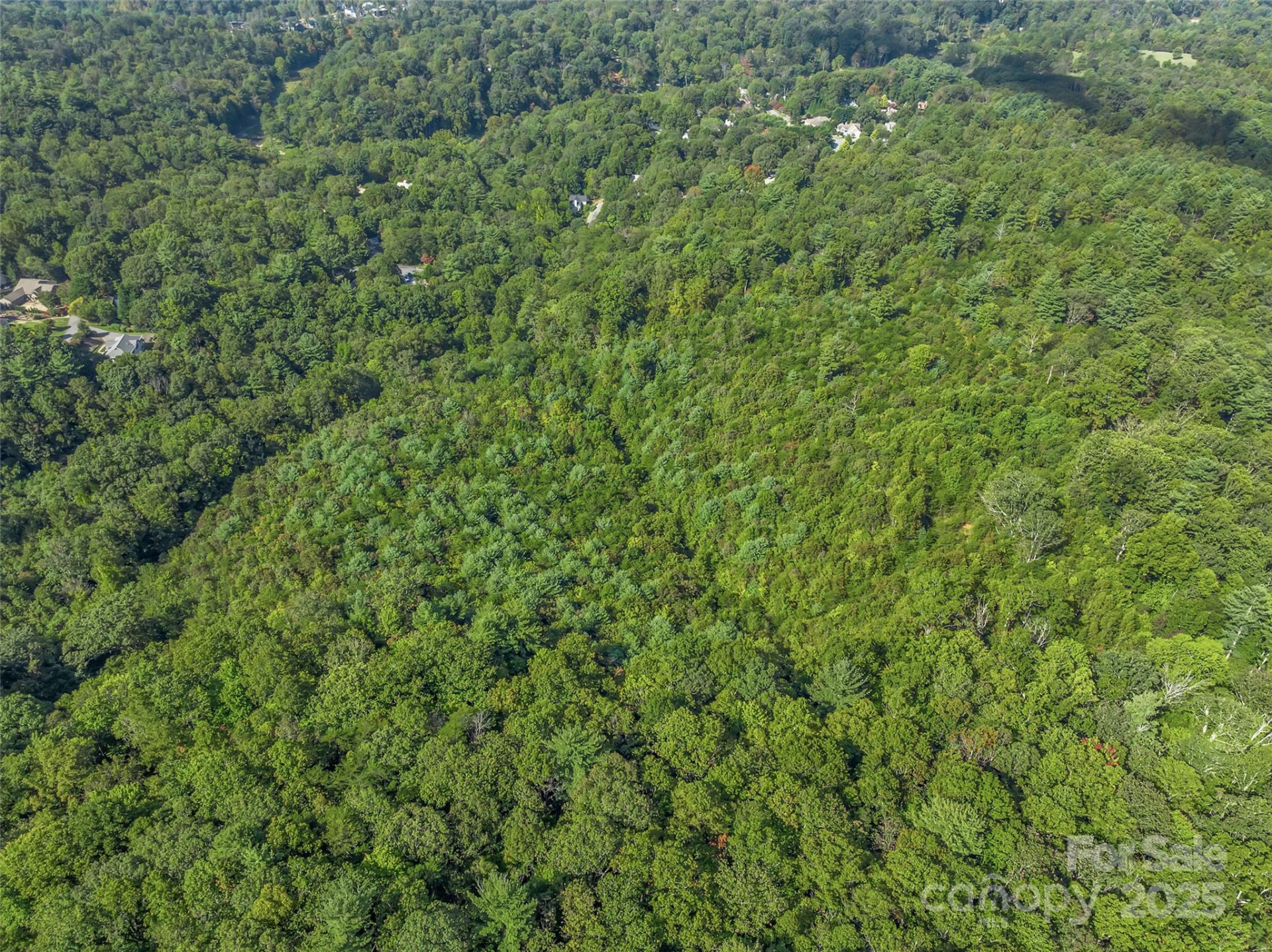 99999 Eastmoor Drive - Photo 16