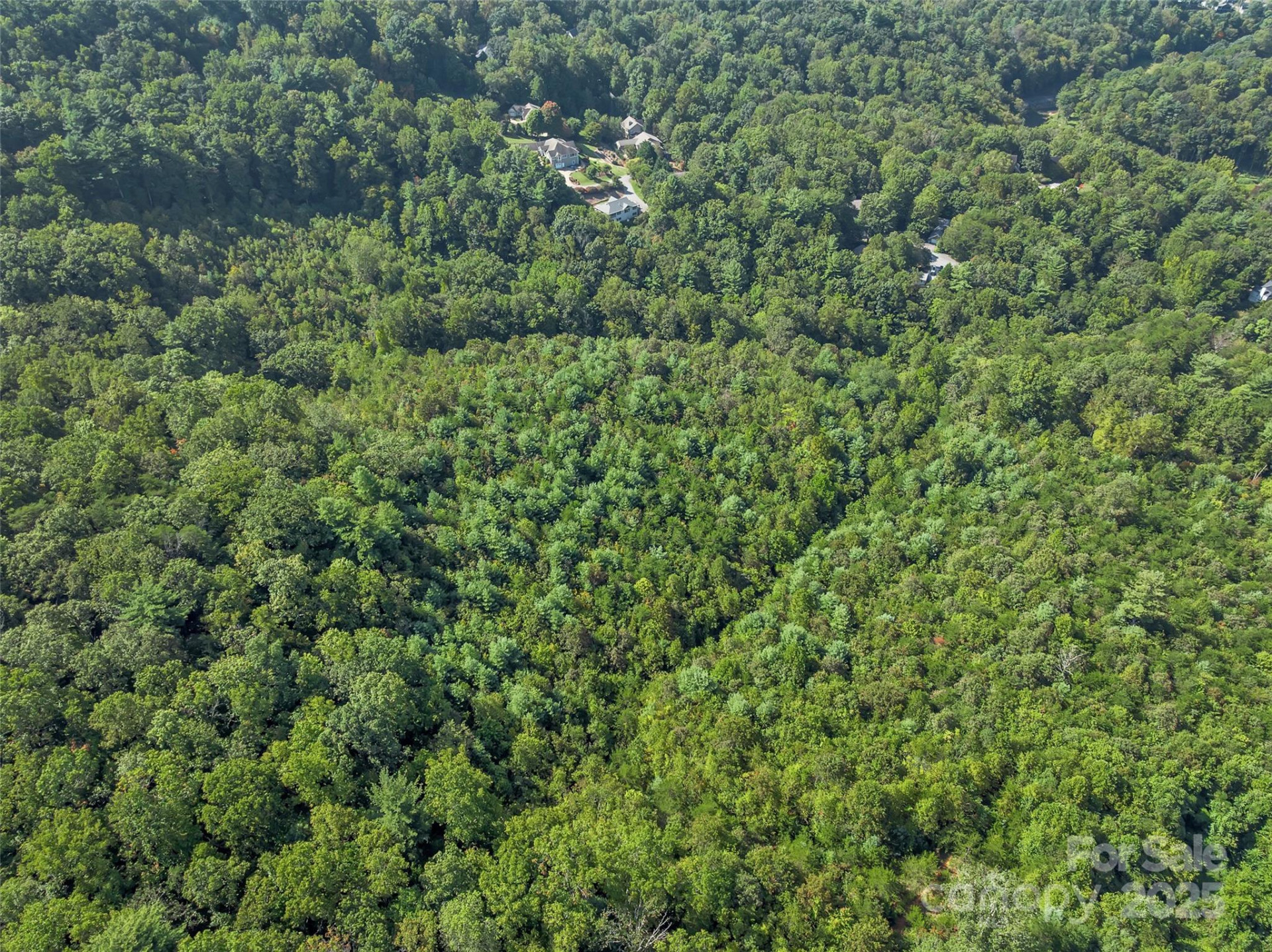 99999 Eastmoor Drive - Photo 17