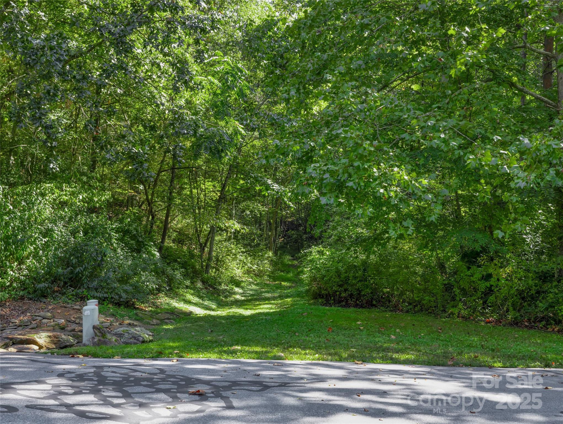 99999 Eastmoor Drive - Photo 5