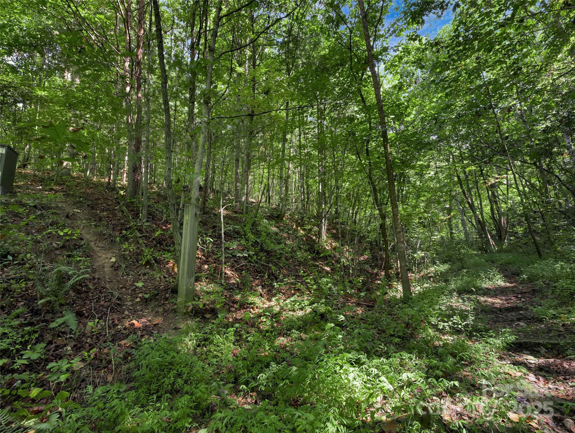 99999 Eastmoor Drive - Photo 6