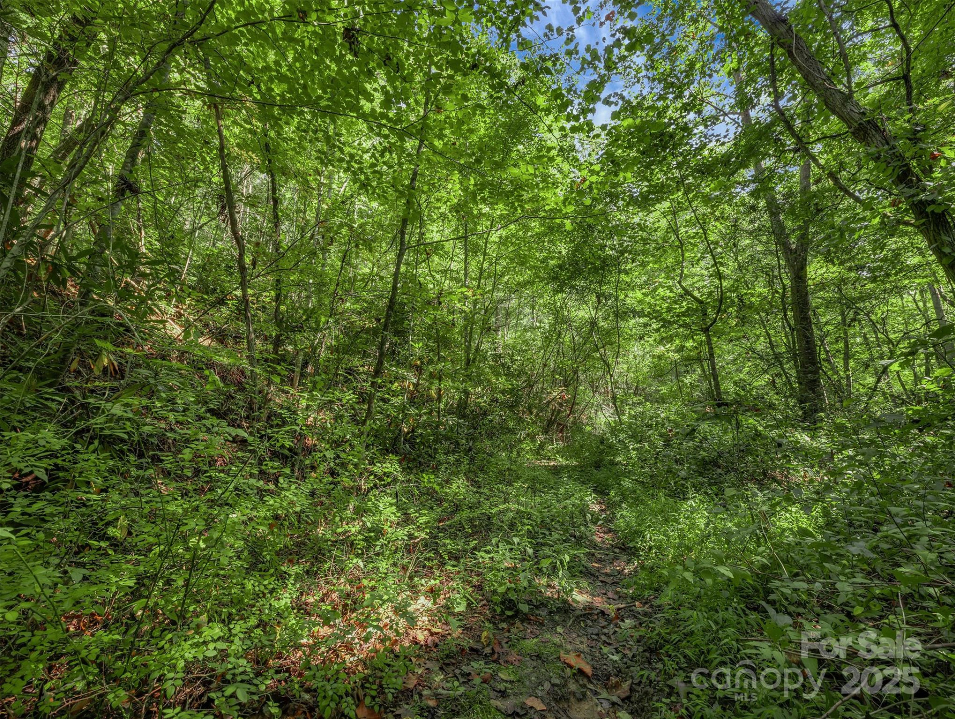 99999 Eastmoor Drive - Photo 7