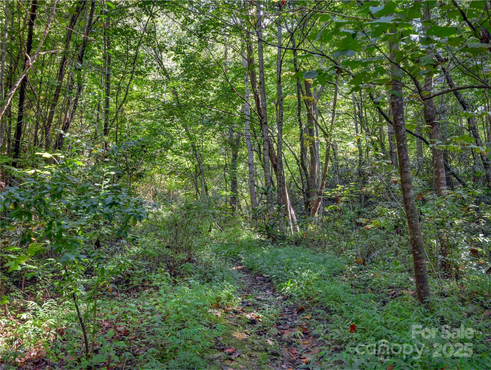 99999 Eastmoor Drive - Photo 8