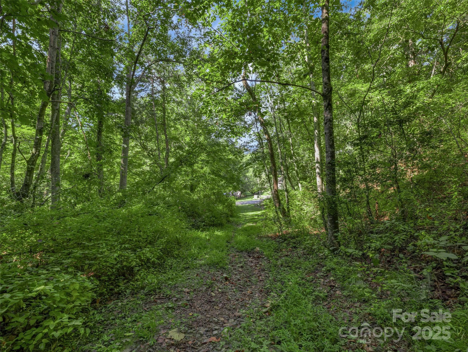 99999 Eastmoor Drive - Photo 9