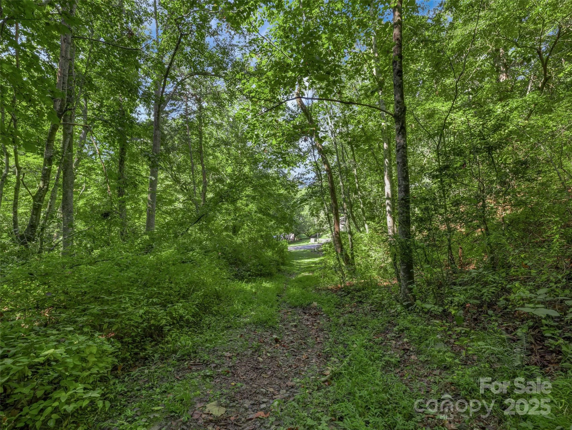 99999 Eastmoor Drive - Photo 9