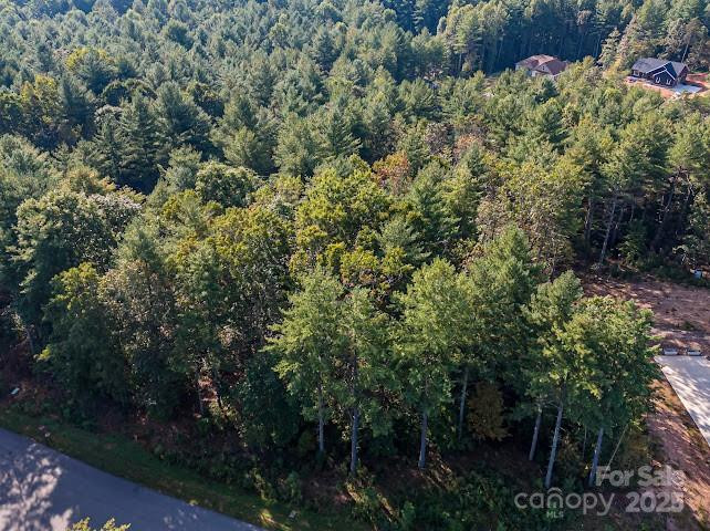 2342 Waterside Boulevard #81 - Photo 7