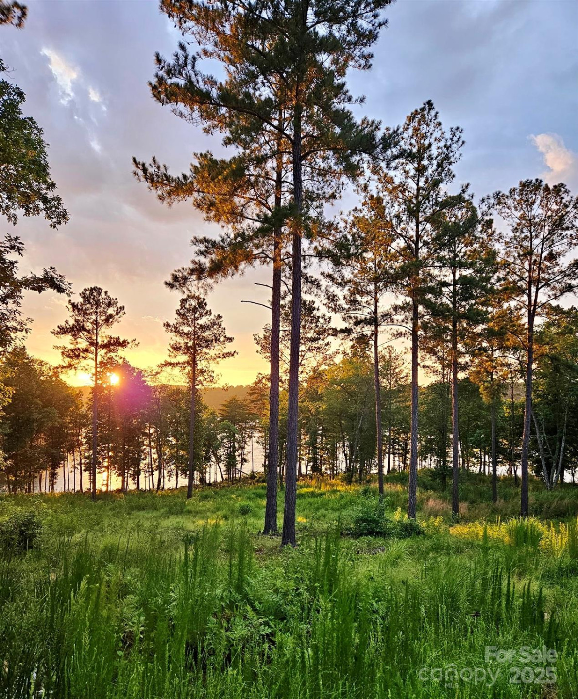 3067 Jumping Run #103