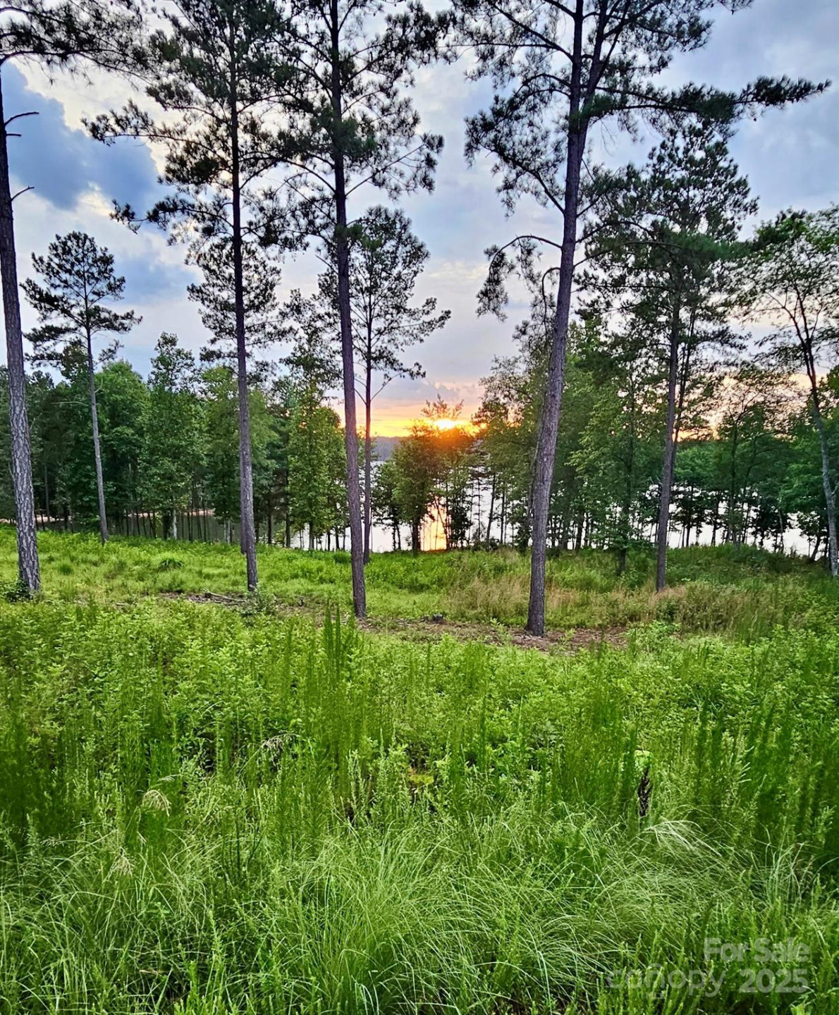 3067 Jumping Run #103 - Photo 2