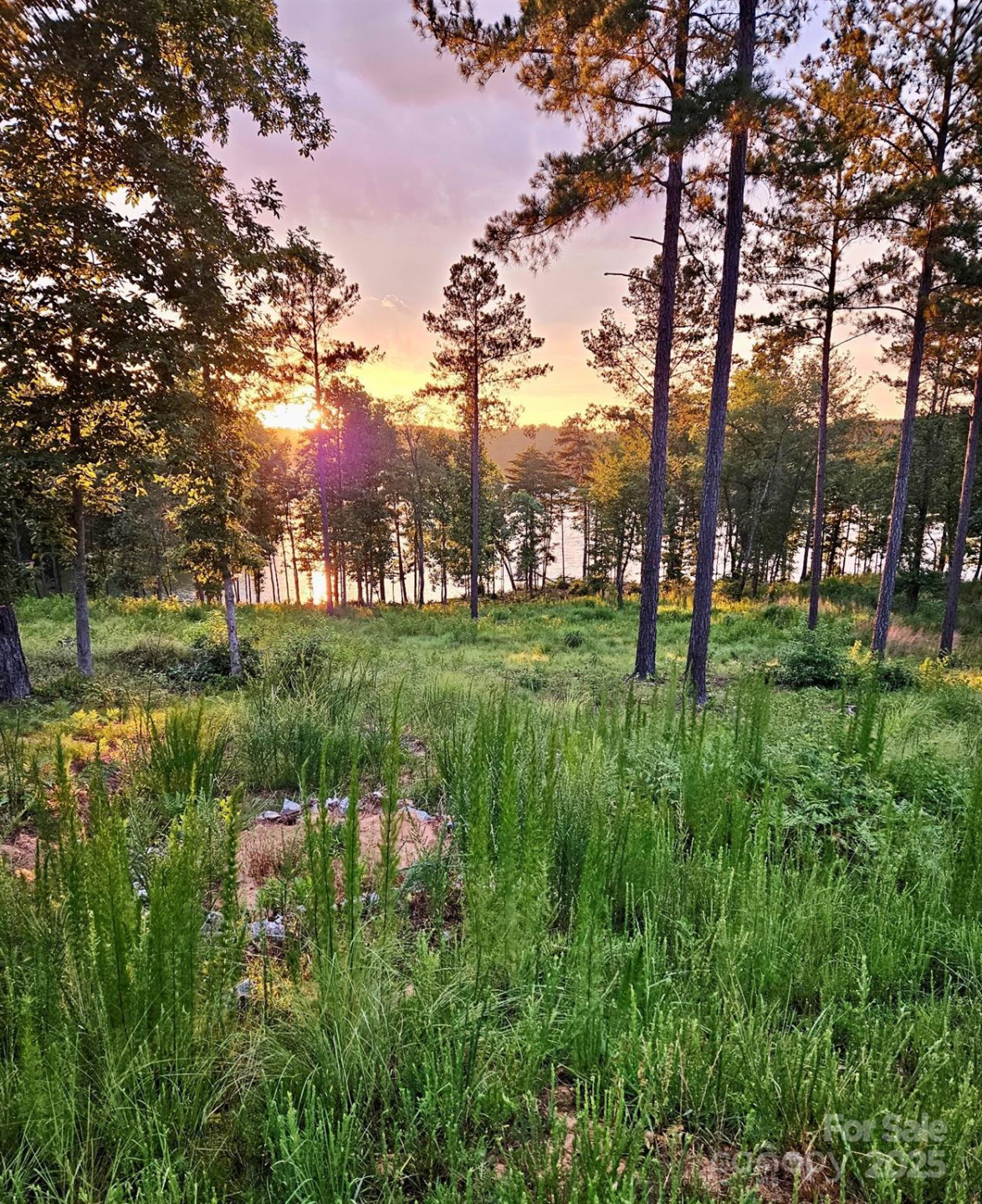 3067 Jumping Run #103 - Photo 3