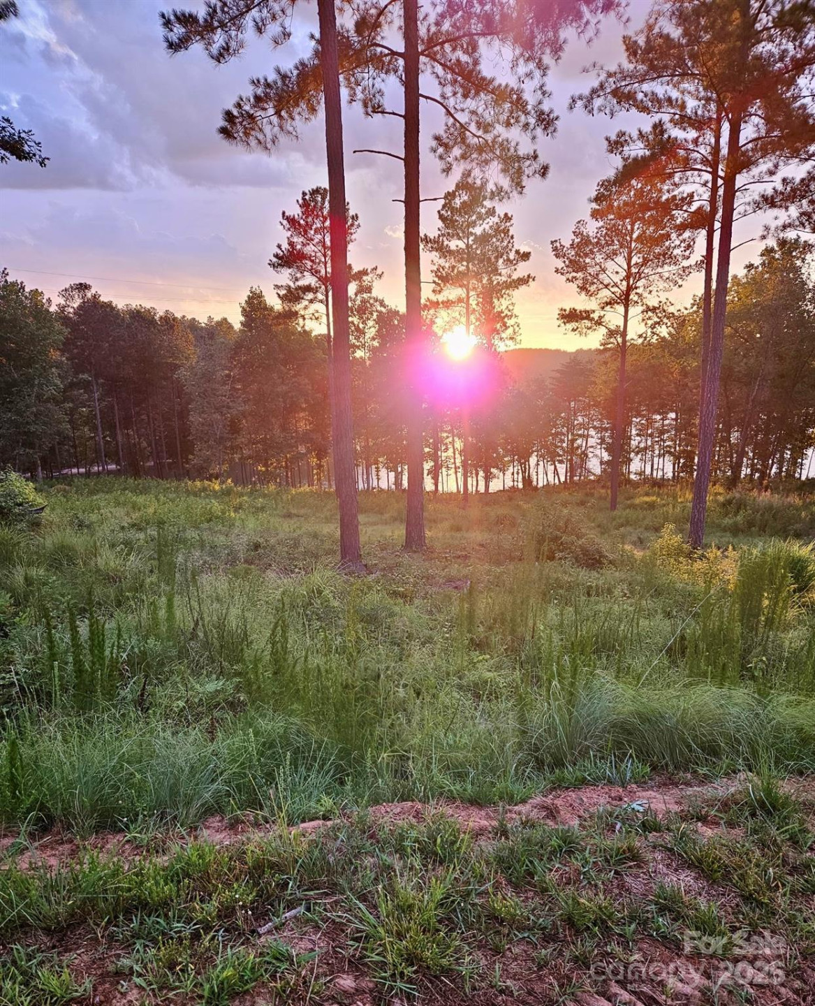 3067 Jumping Run #103 - Photo 4