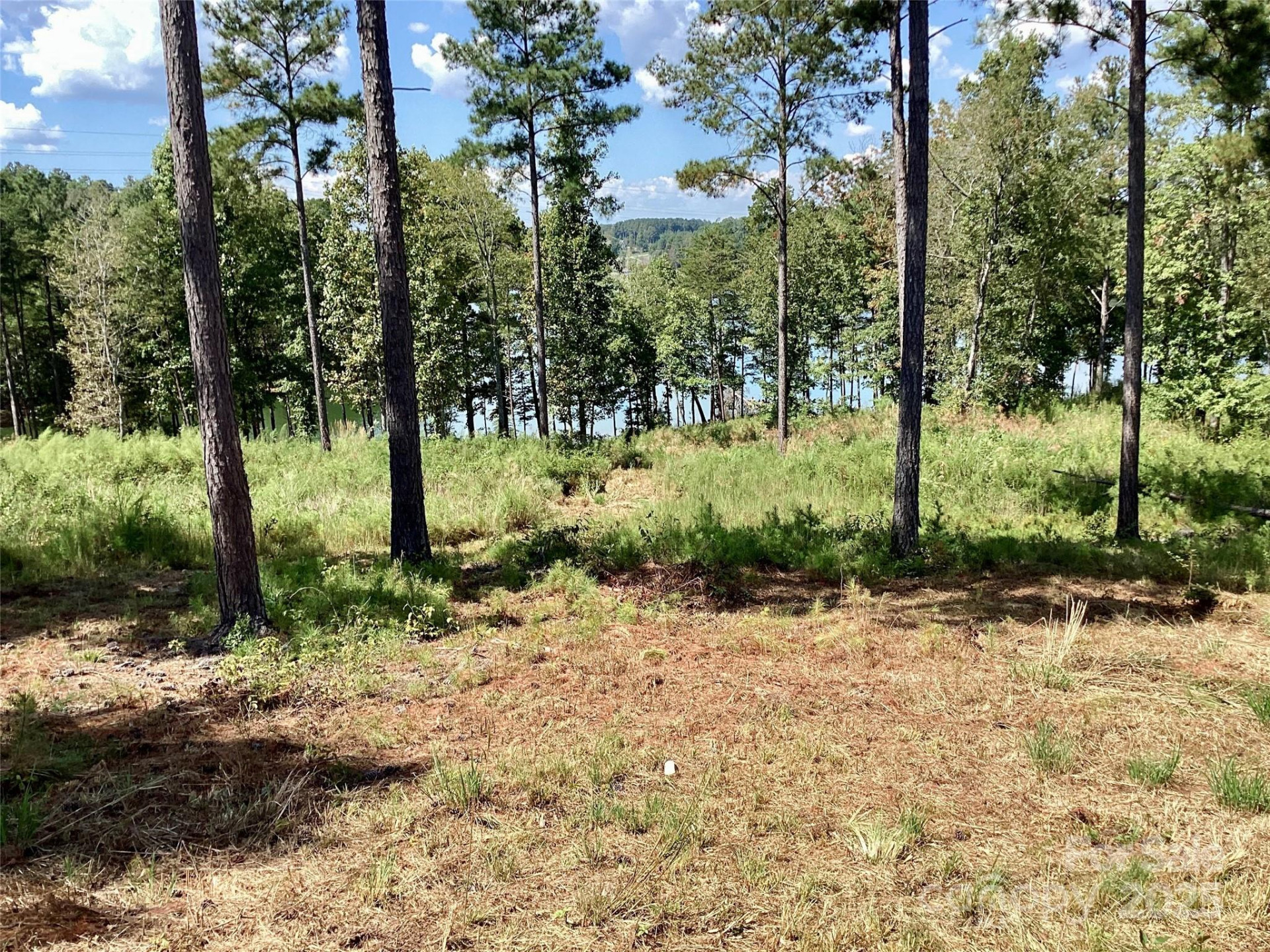 3067 Jumping Run #103 - Photo 5