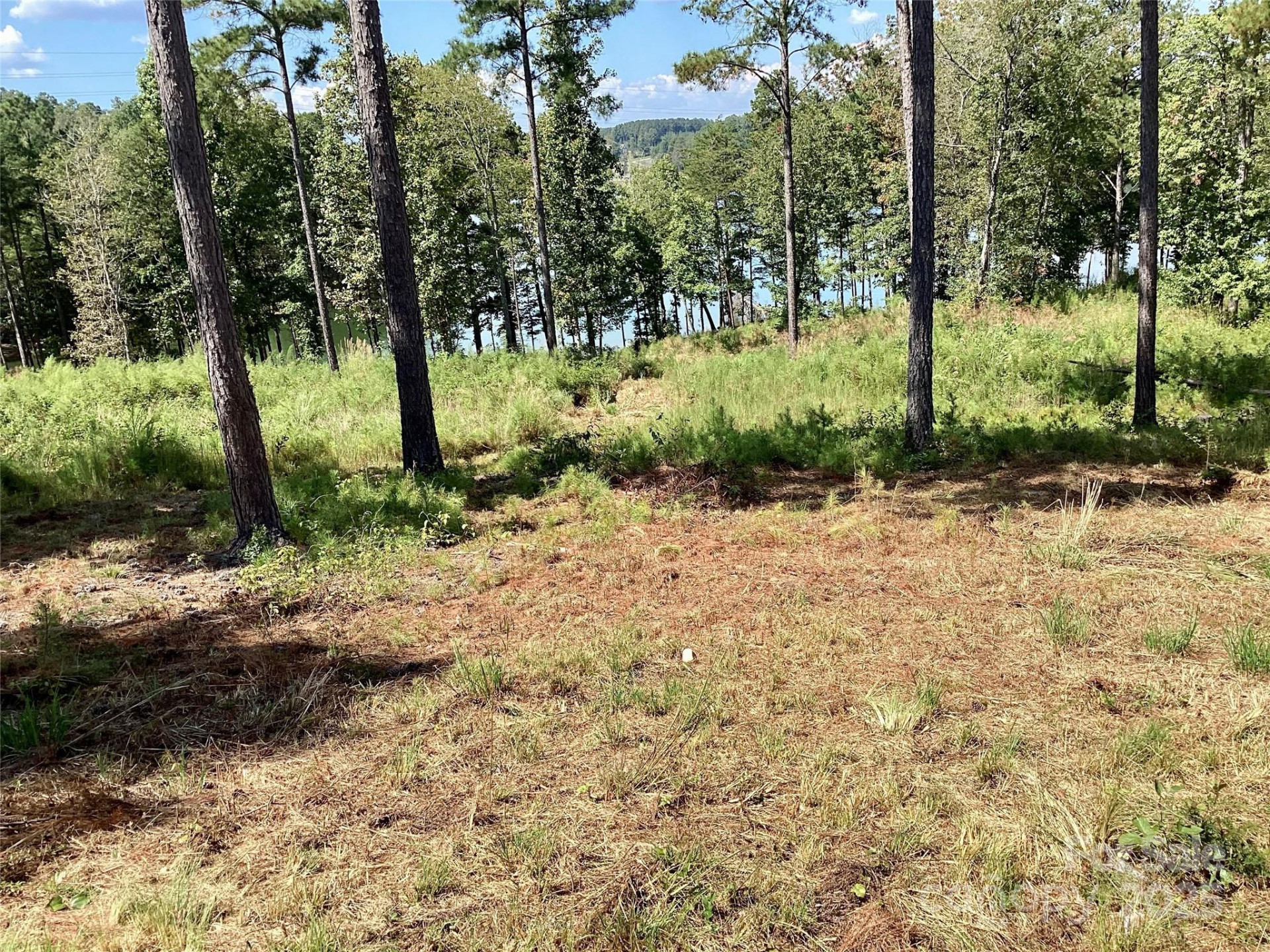 3067 Jumping Run #103 - Photo 6