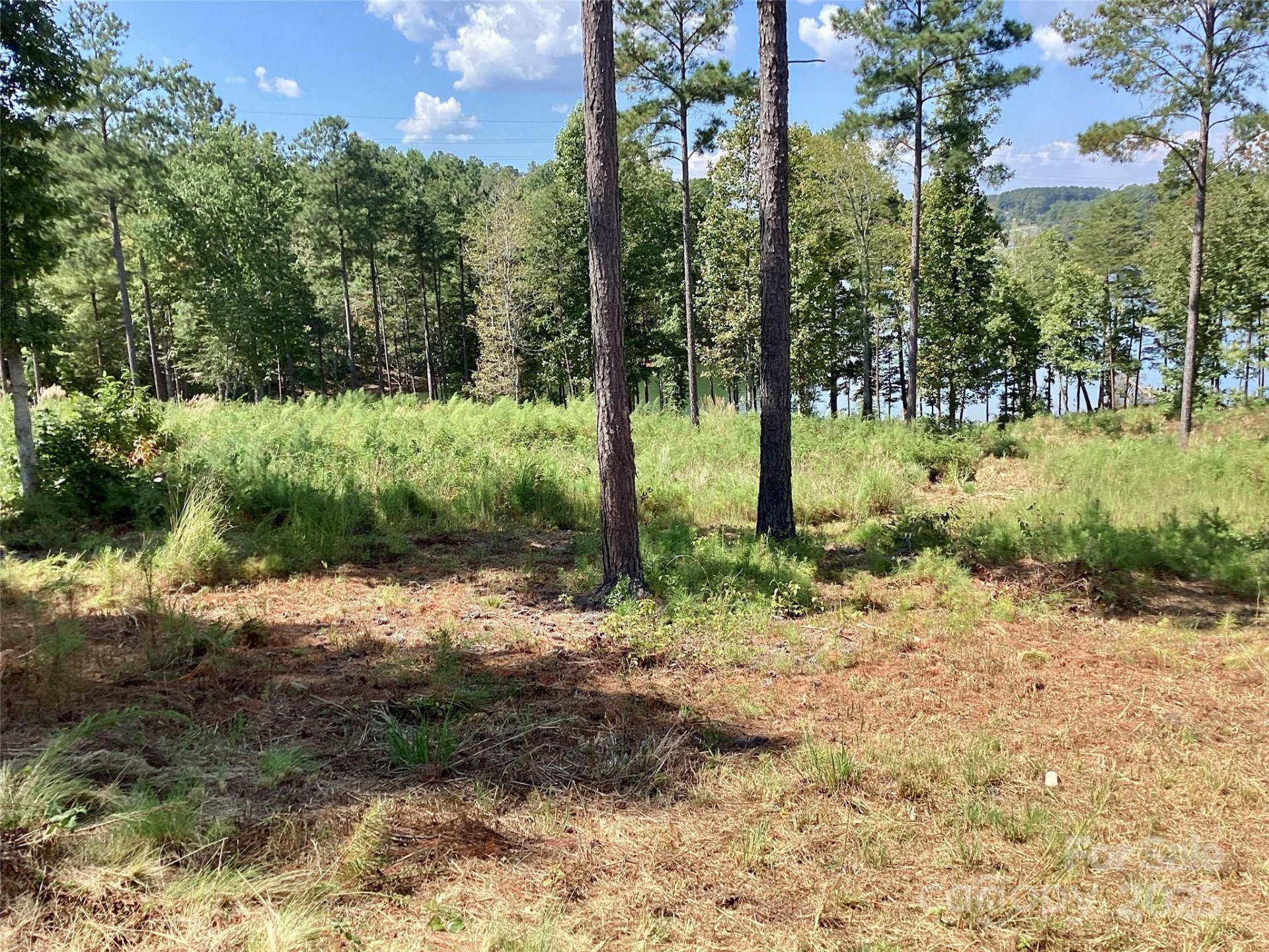 3067 Jumping Run #103 - Photo 7