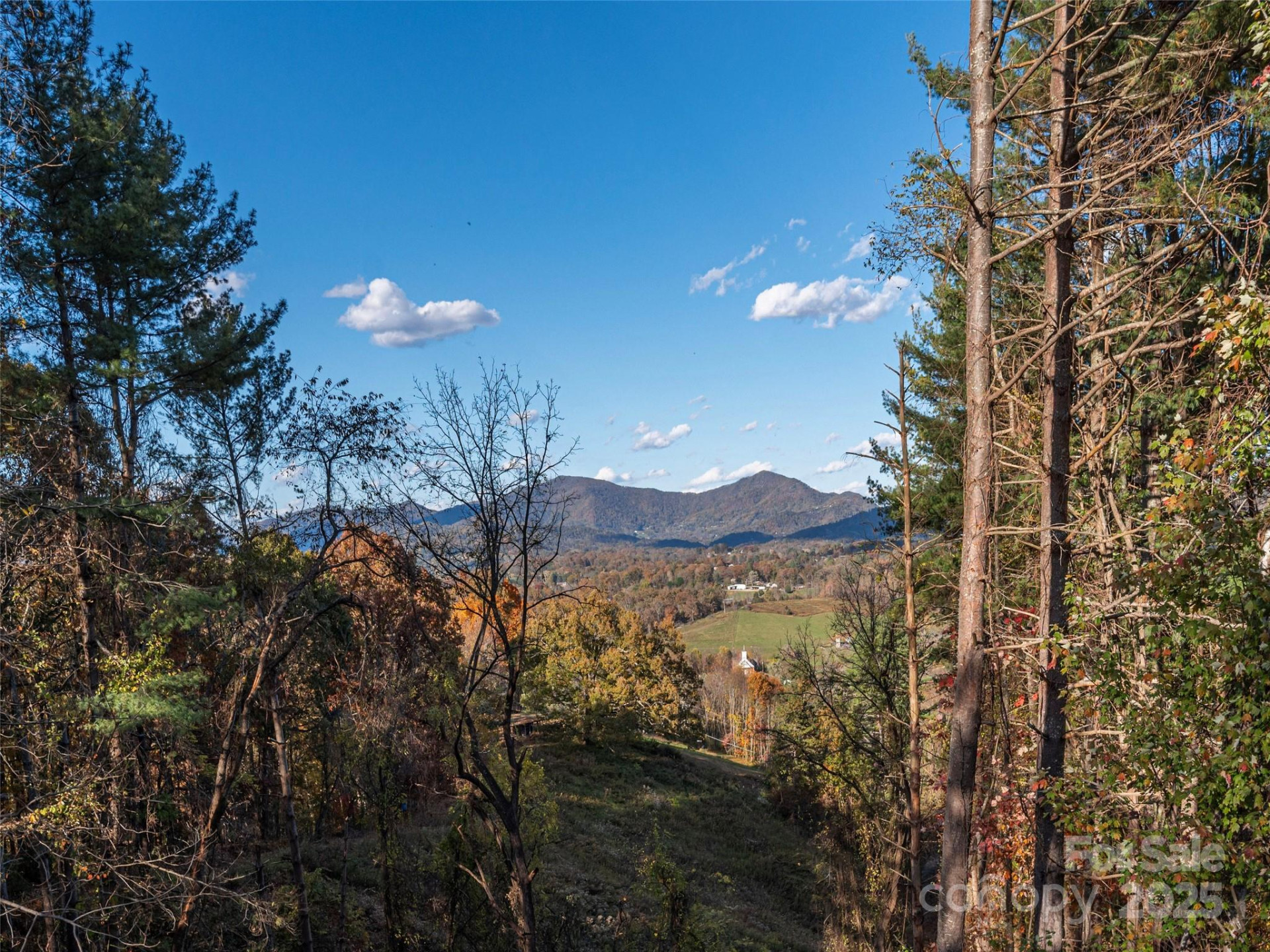 286 Keith Drive - Photo 5
