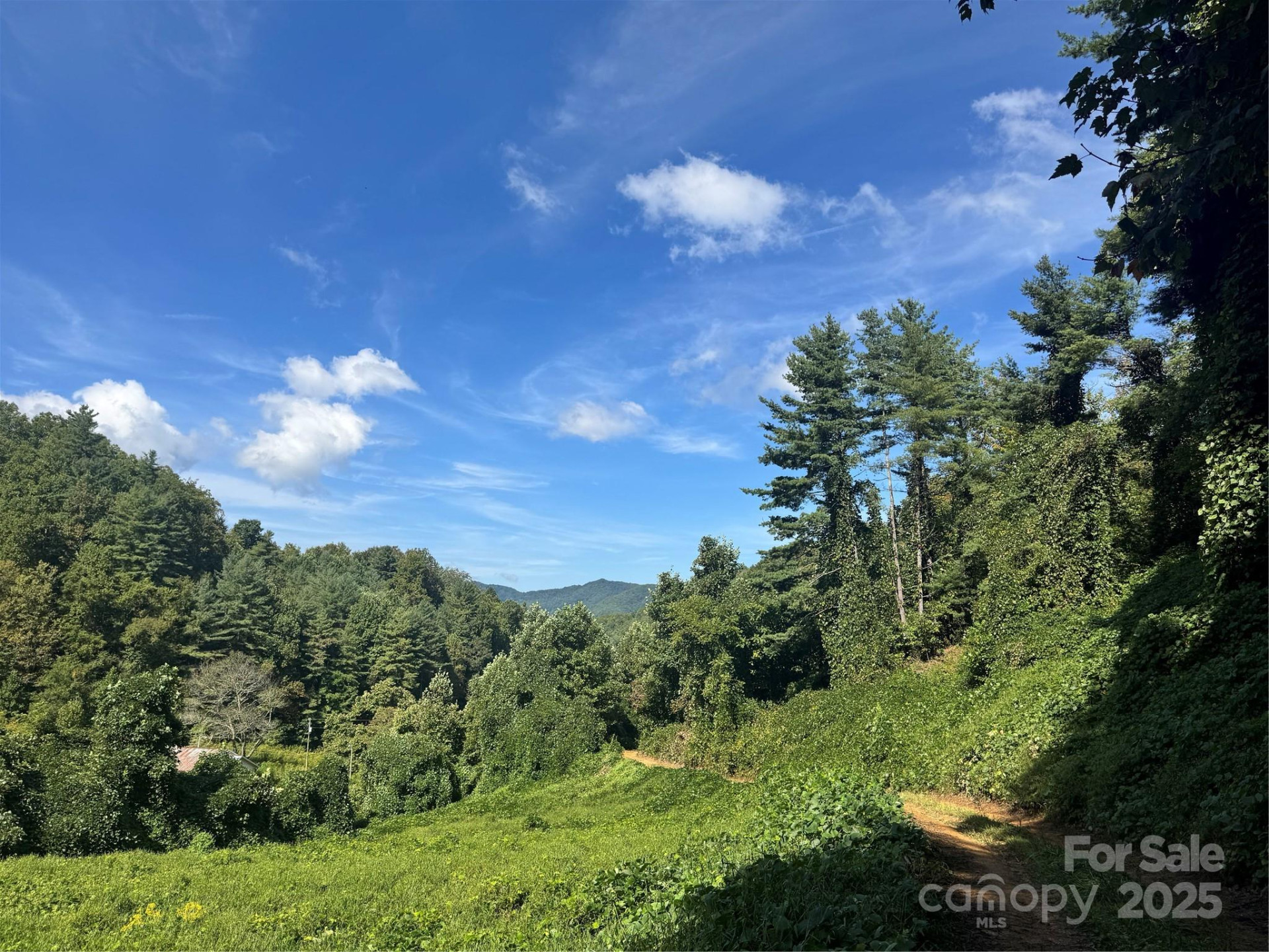 2252 Cutshall Town Road - Photo 2