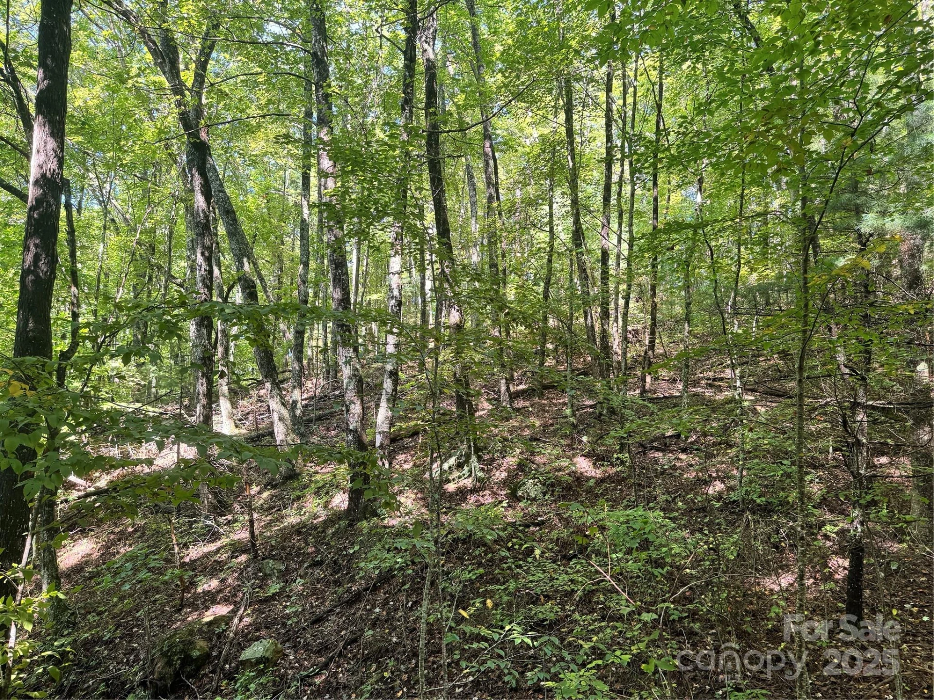 2252 Cutshall Town Road - Photo 12