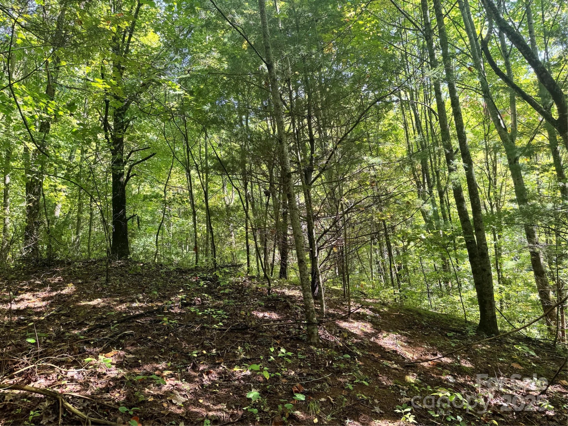 2252 Cutshall Town Road - Photo 13