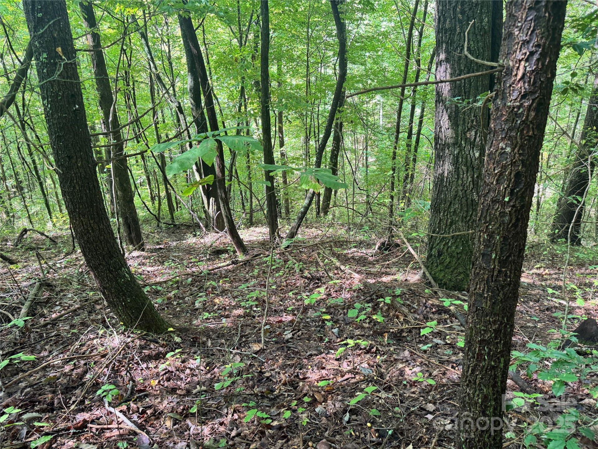 2252 Cutshall Town Road - Photo 15