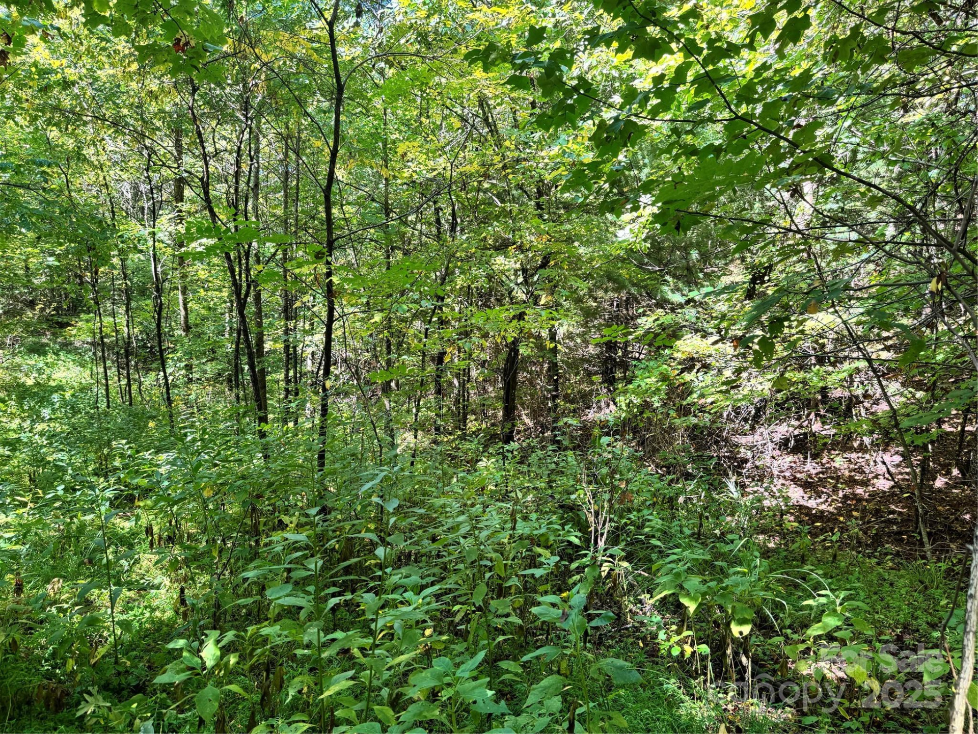 2252 Cutshall Town Road - Photo 17