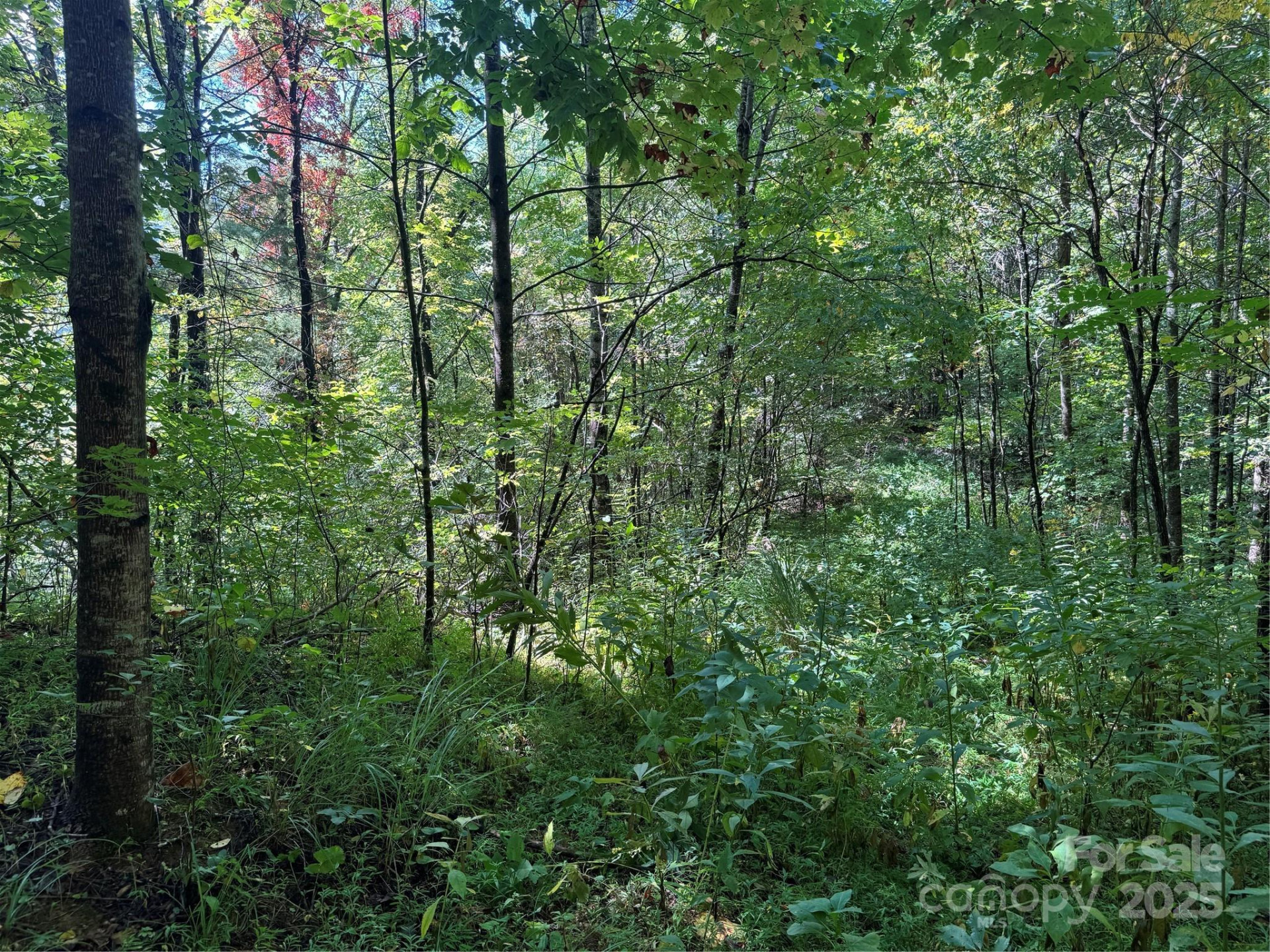 2252 Cutshall Town Road - Photo 18
