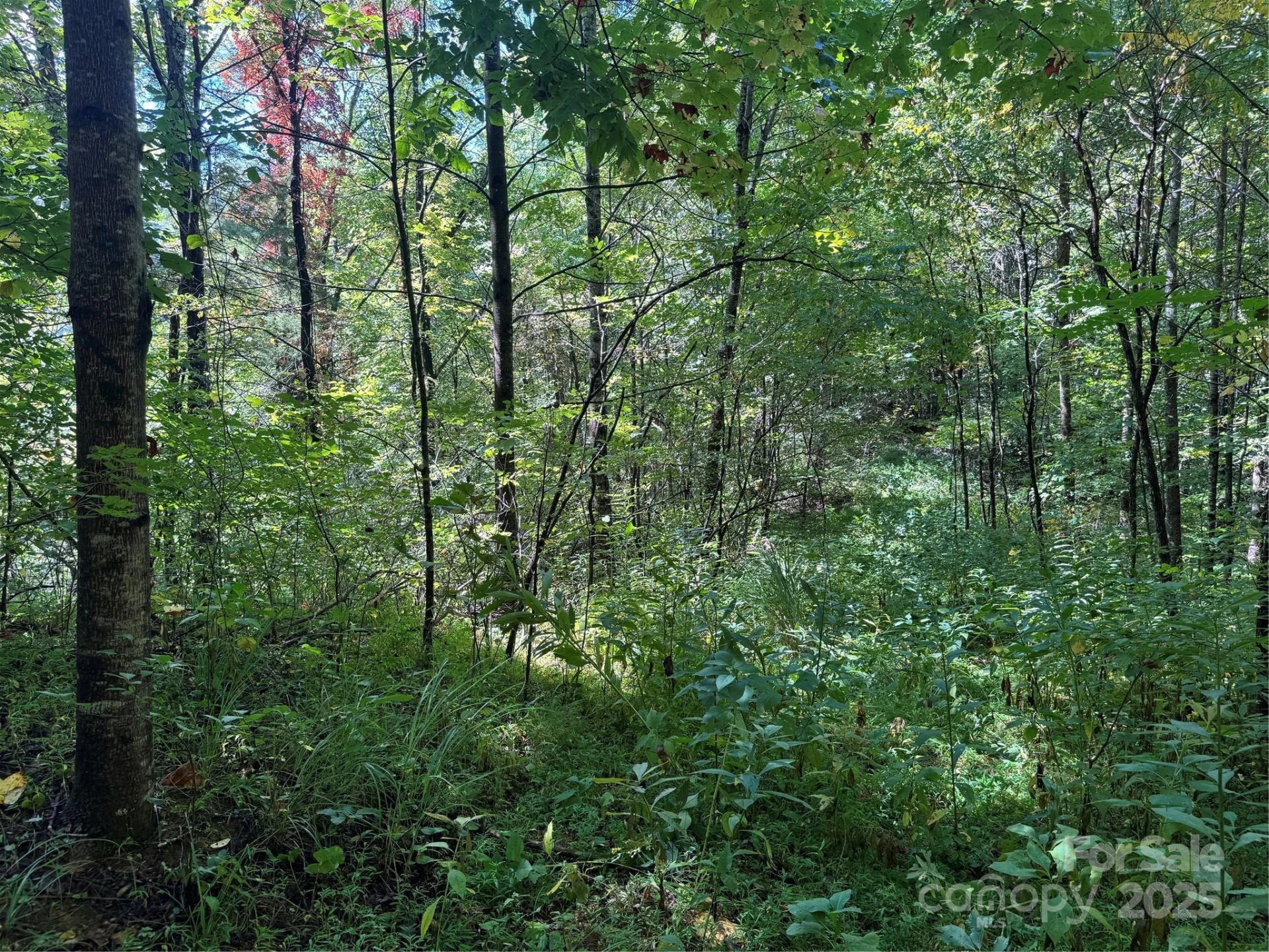 2252 Cutshall Town Road - Photo 18