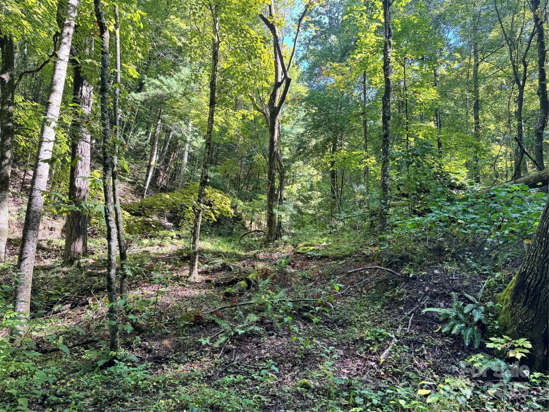 2252 Cutshall Town Road - Photo 21