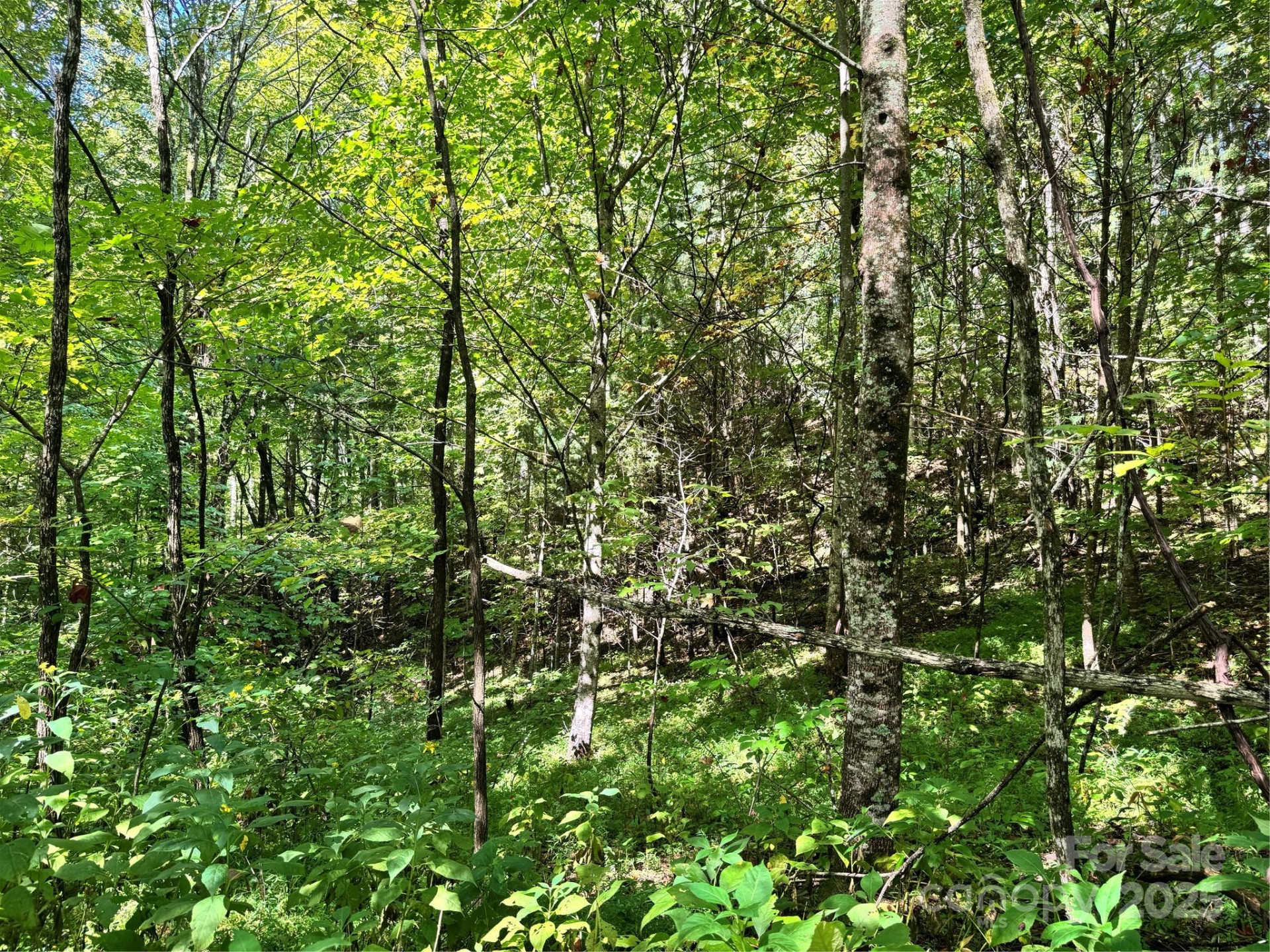 2252 Cutshall Town Road - Photo 23