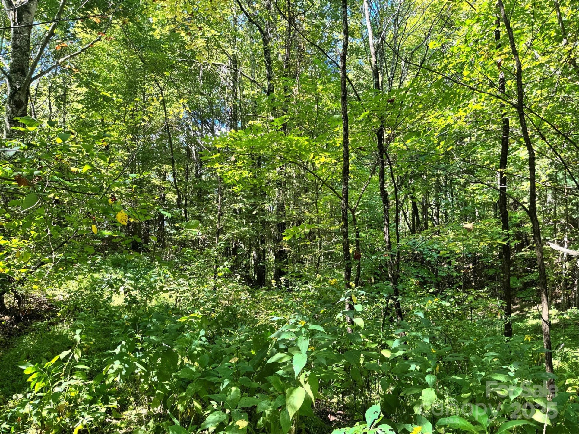 2252 Cutshall Town Road - Photo 24