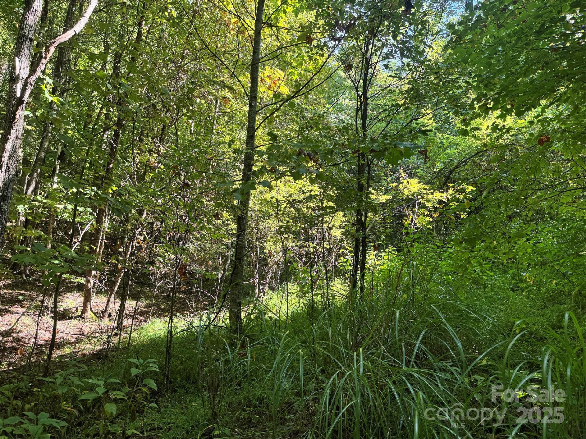 2252 Cutshall Town Road - Photo 25