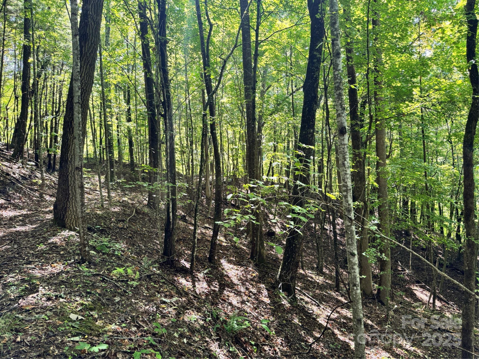 2252 Cutshall Town Road - Photo 27