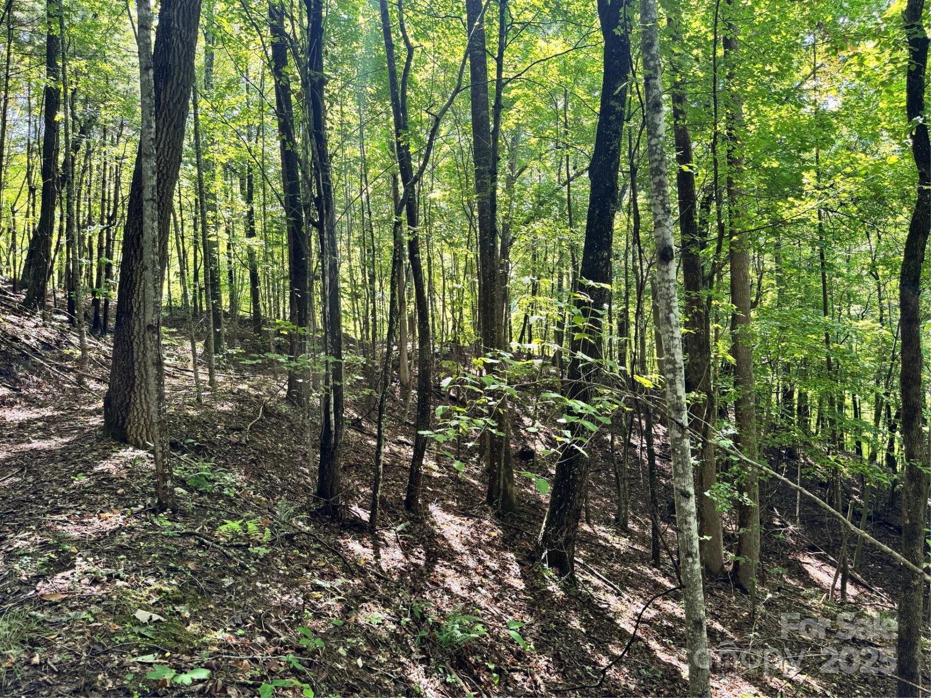 2252 Cutshall Town Road - Photo 27