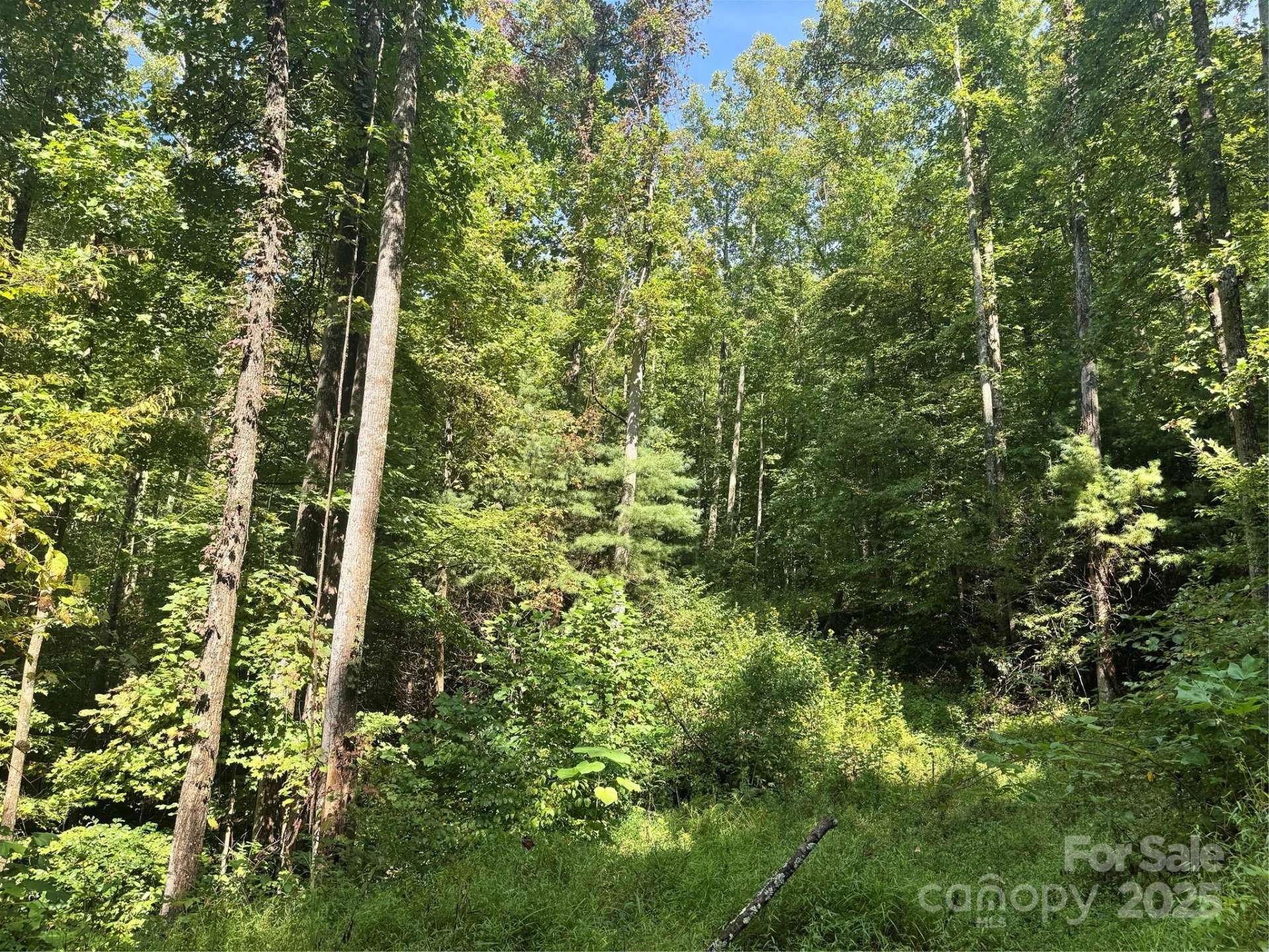 2252 Cutshall Town Road - Photo 4