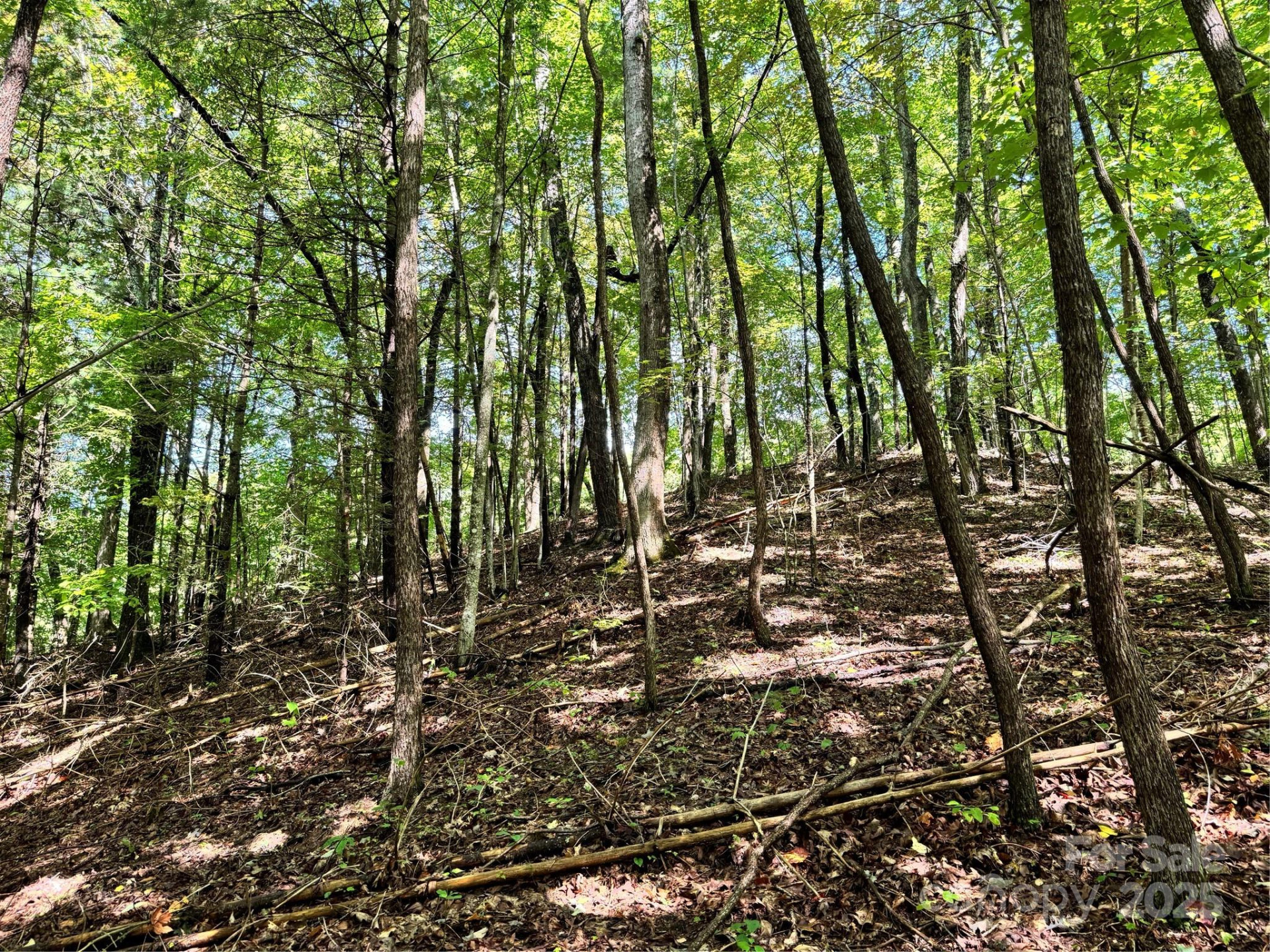 2252 Cutshall Town Road - Photo 32