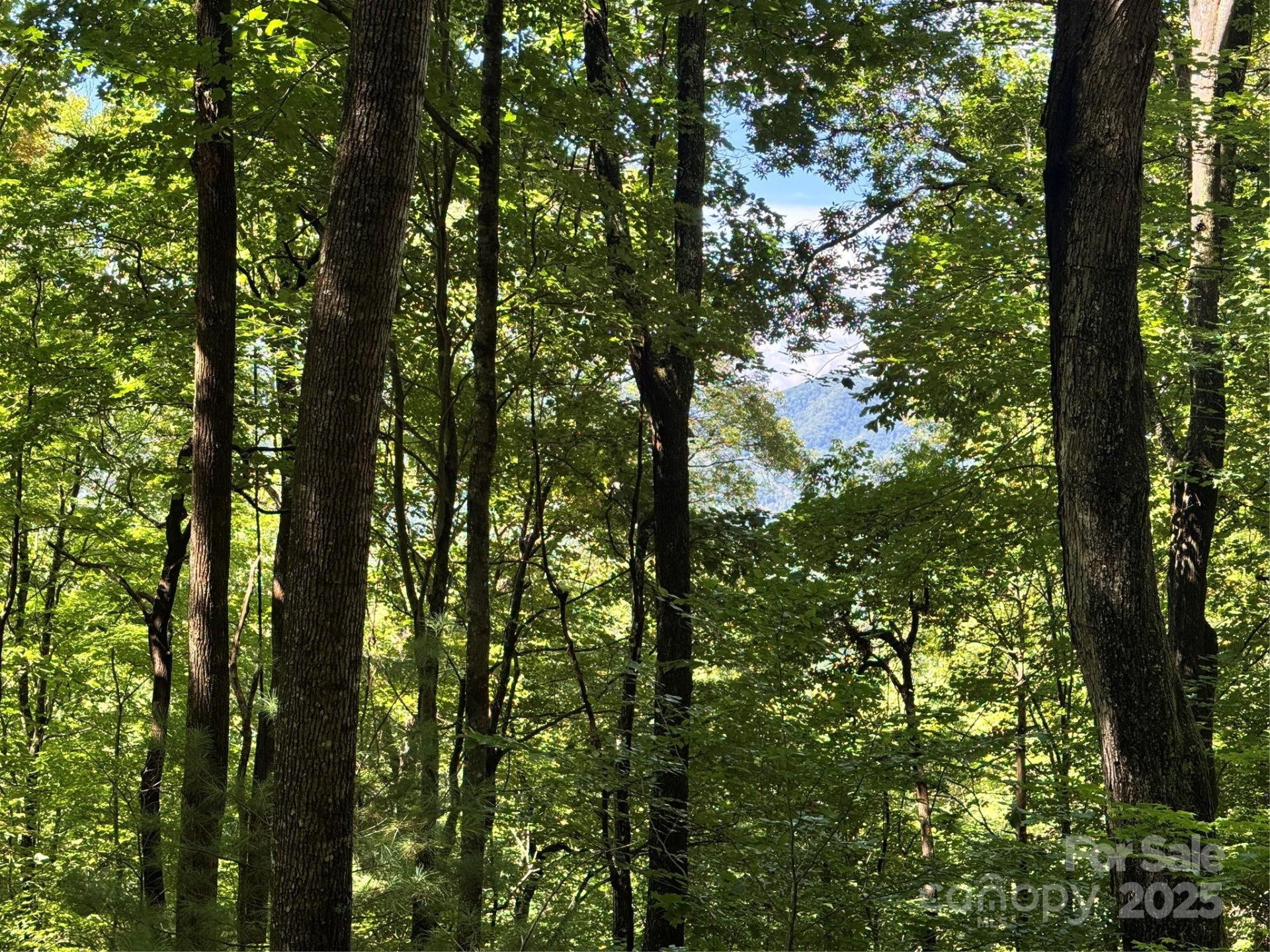 2252 Cutshall Town Road - Photo 37