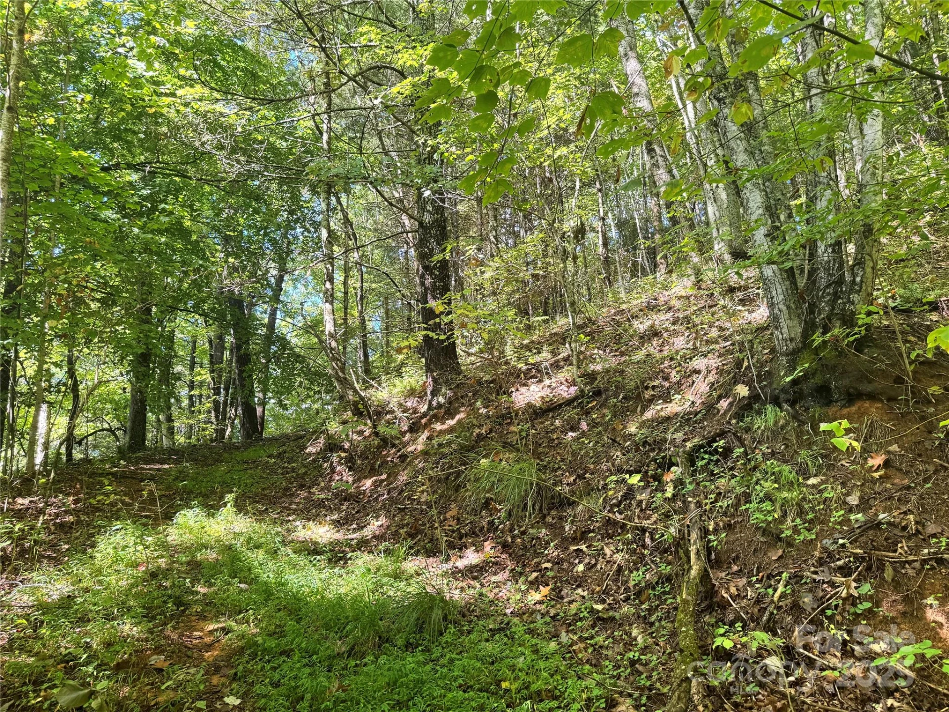 2252 Cutshall Town Road - Photo 8