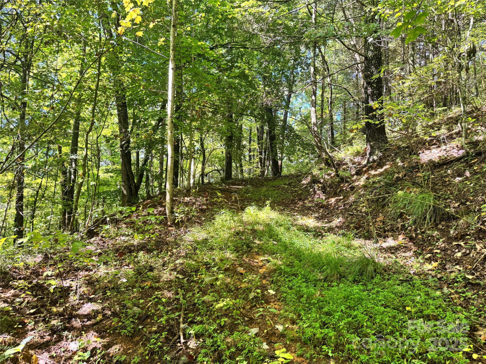 2252 Cutshall Town Road - Photo 9