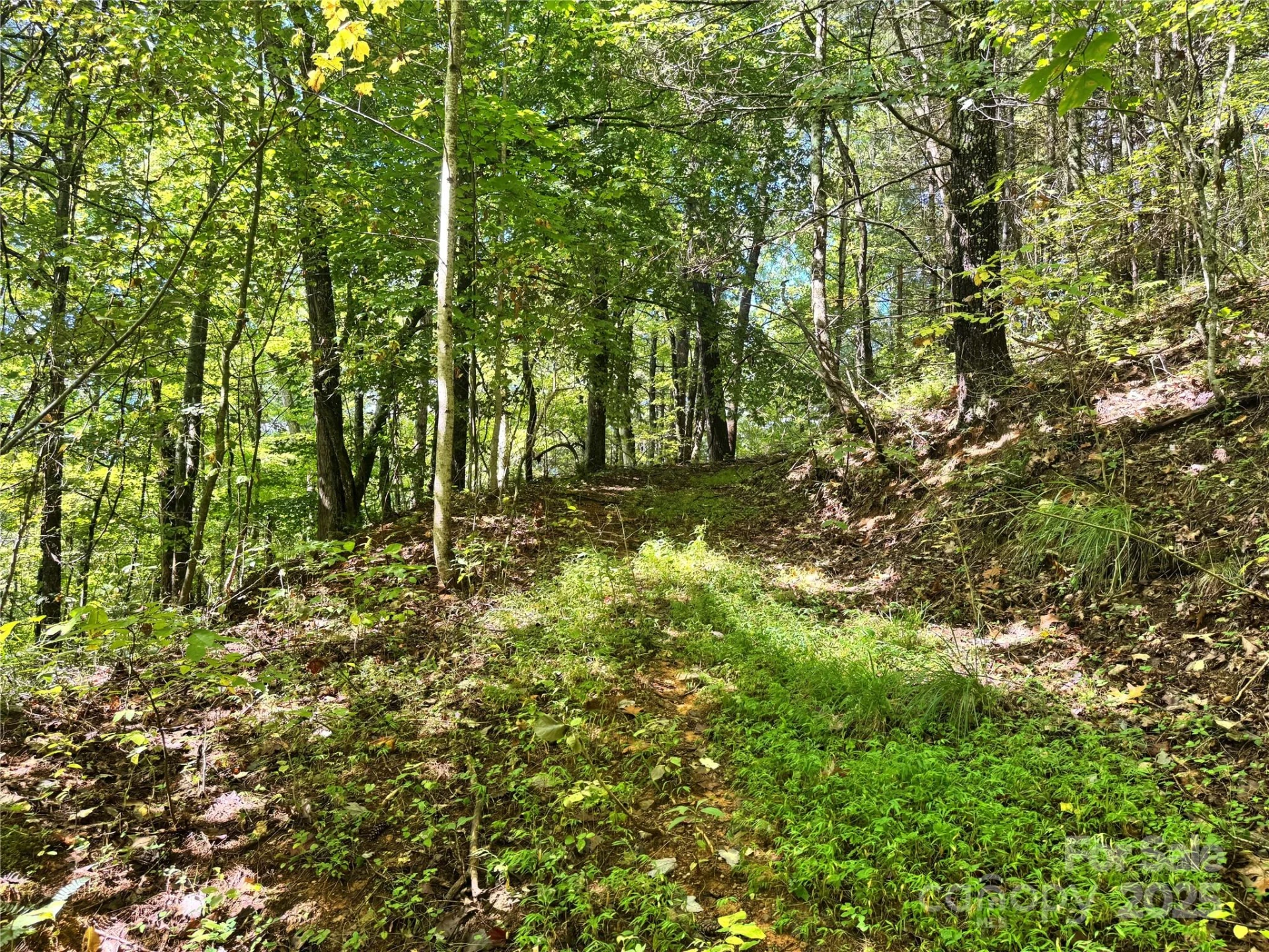 2252 Cutshall Town Road - Photo 9