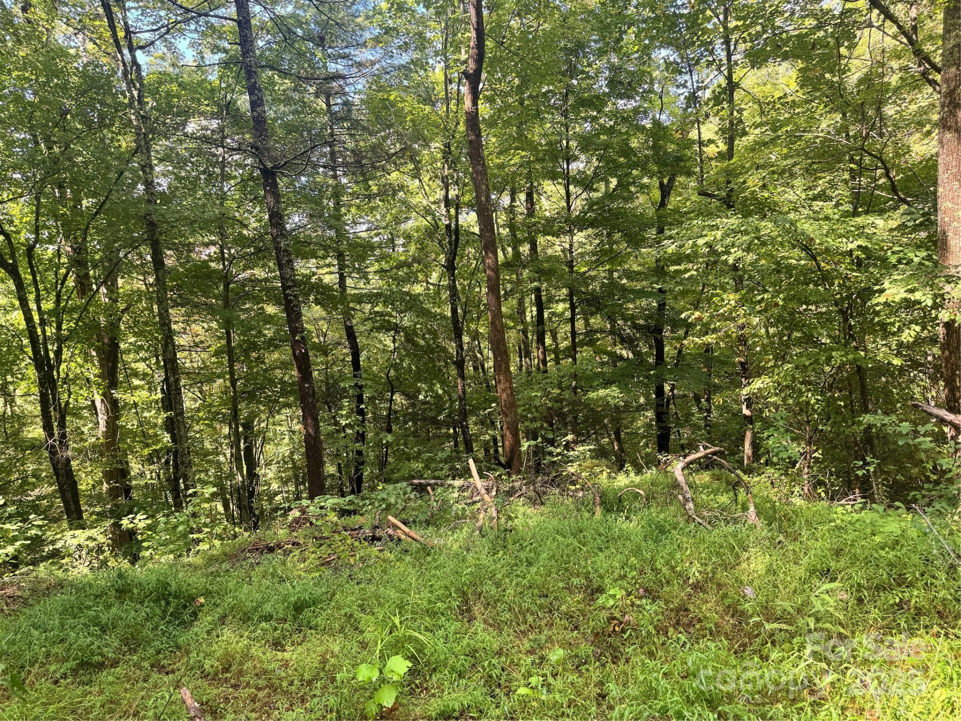 2252 Cutshall Town Road - Photo 10