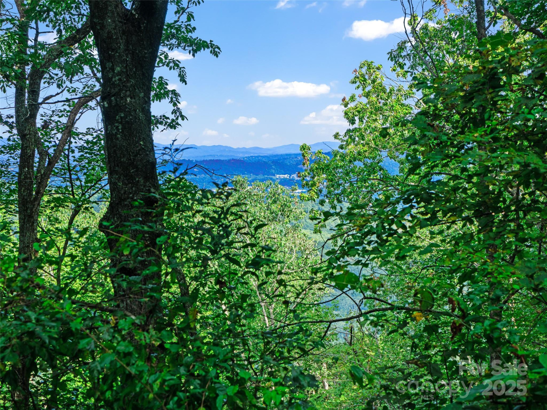 125 Floribunda Path #Lot 8A - Photo 11