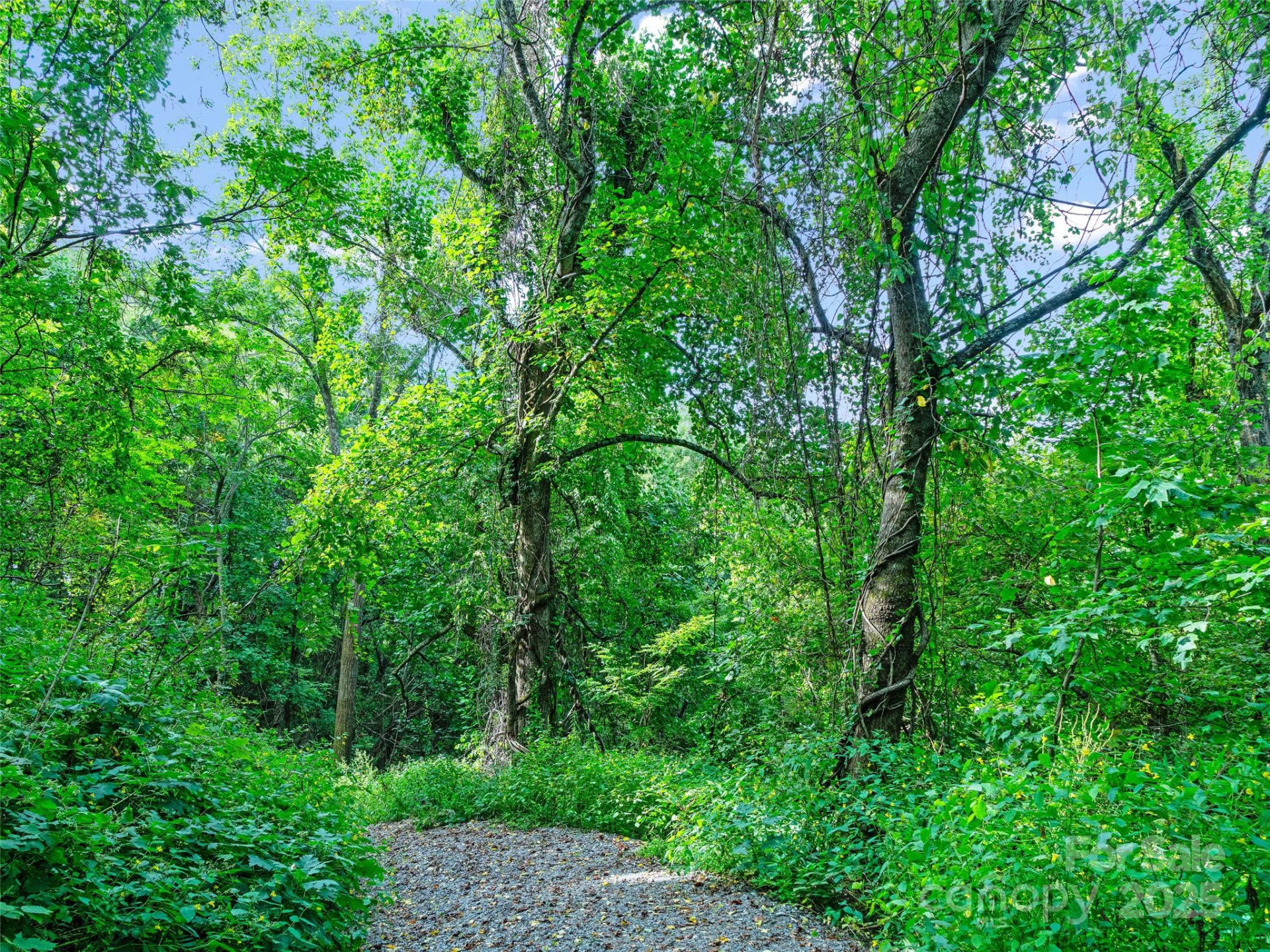 125 Floribunda Path #Lot 8A - Photo 12