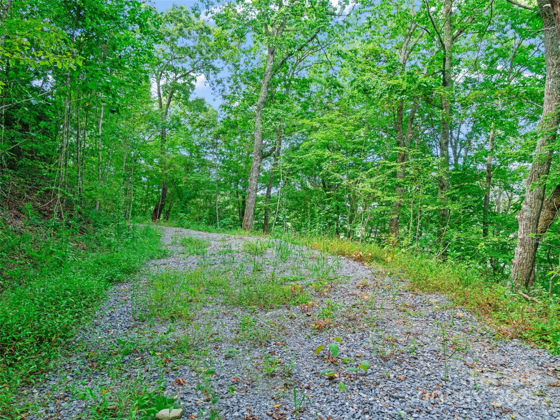 125 Floribunda Path #Lot 8A - Photo 13