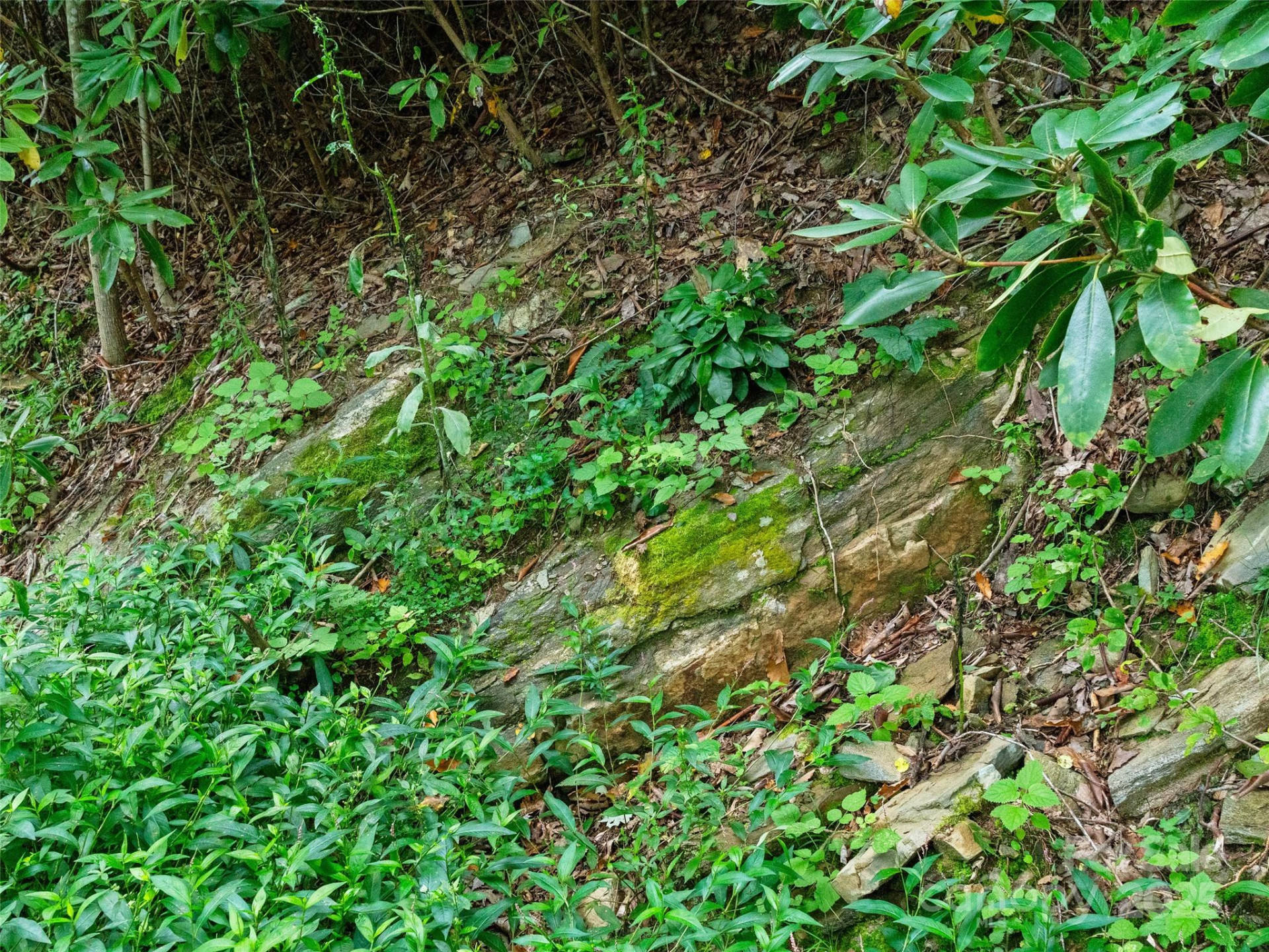 125 Floribunda Path #Lot 8A - Photo 14