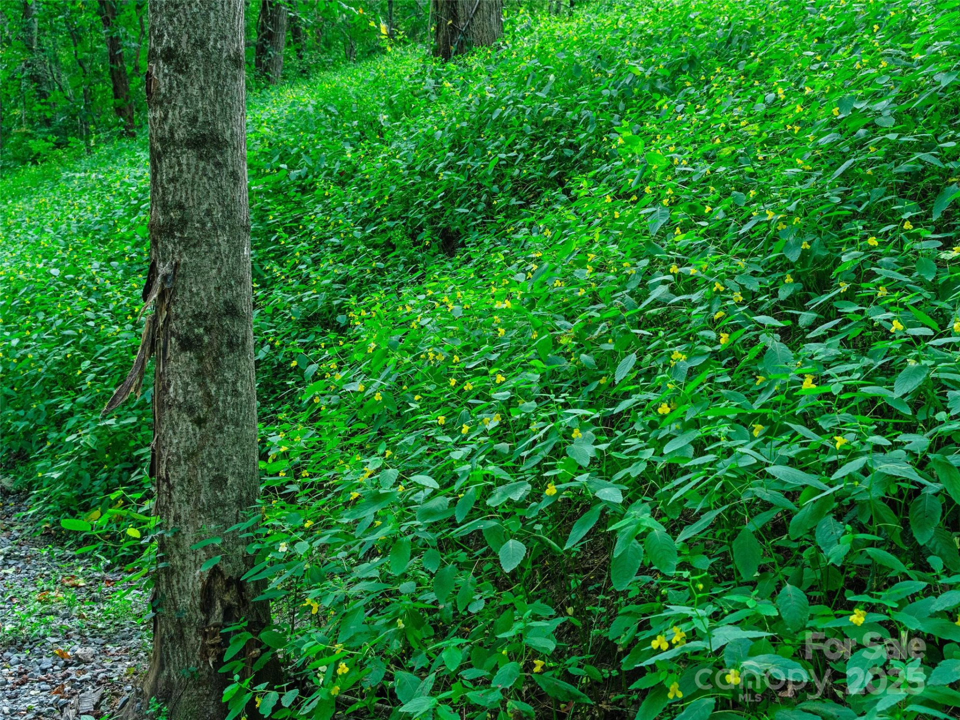 125 Floribunda Path #Lot 8A - Photo 15