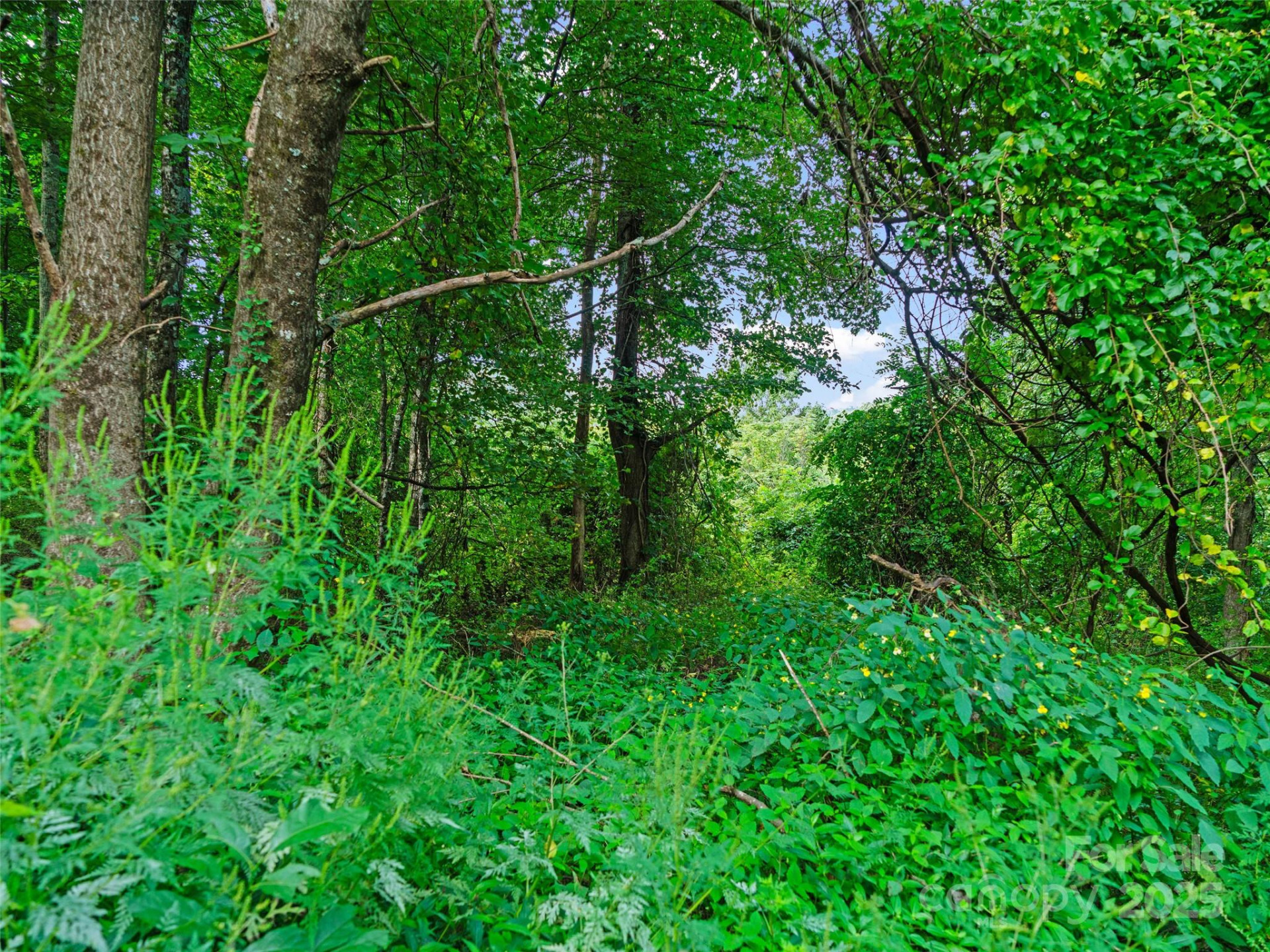 125 Floribunda Path #Lot 8A - Photo 17